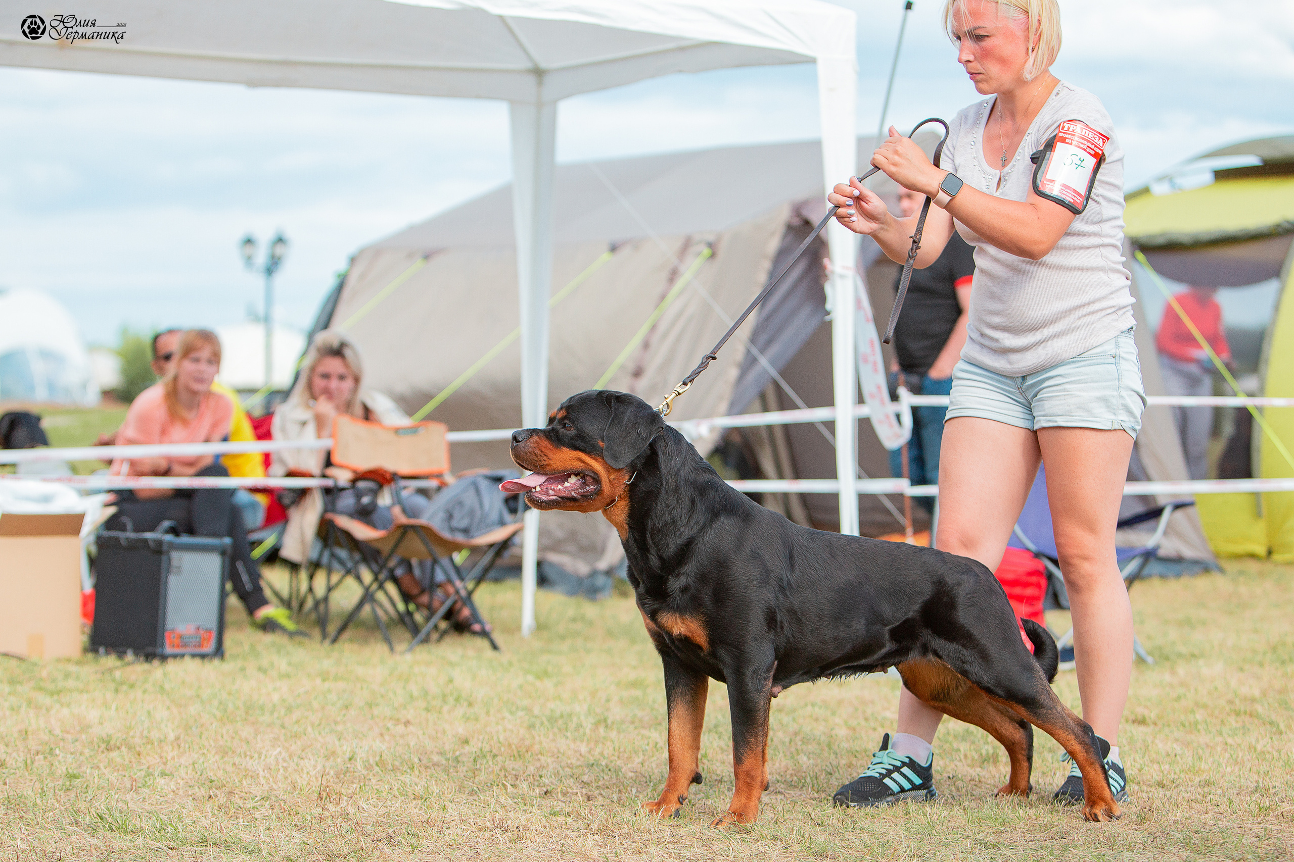 Тверь моно ротвейлеров 3-4 июля 2021. Фотограф-анималист Юлия Германика
