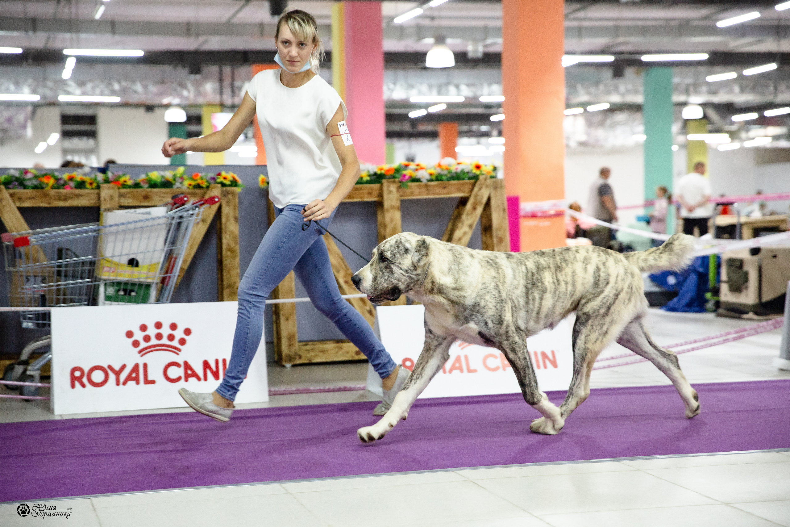 Чайна-Таун 2021. Фотограф-анималист Юлия Германика