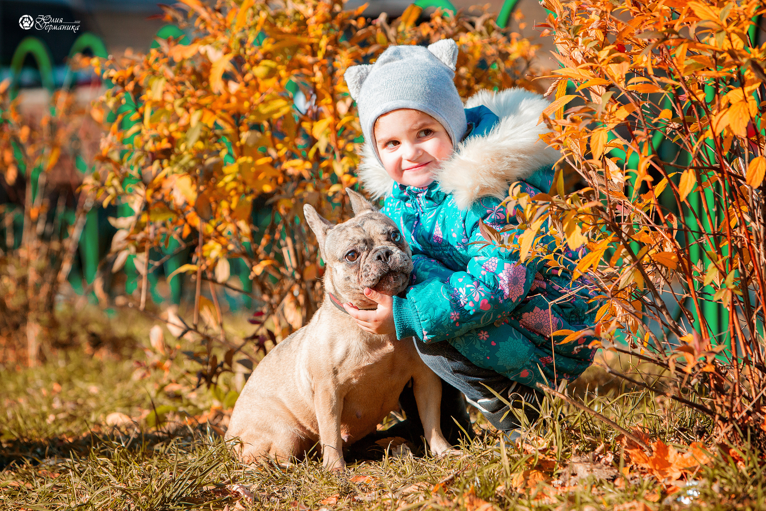 Свободная съемка. Фотограф-анималист Юлия Германика