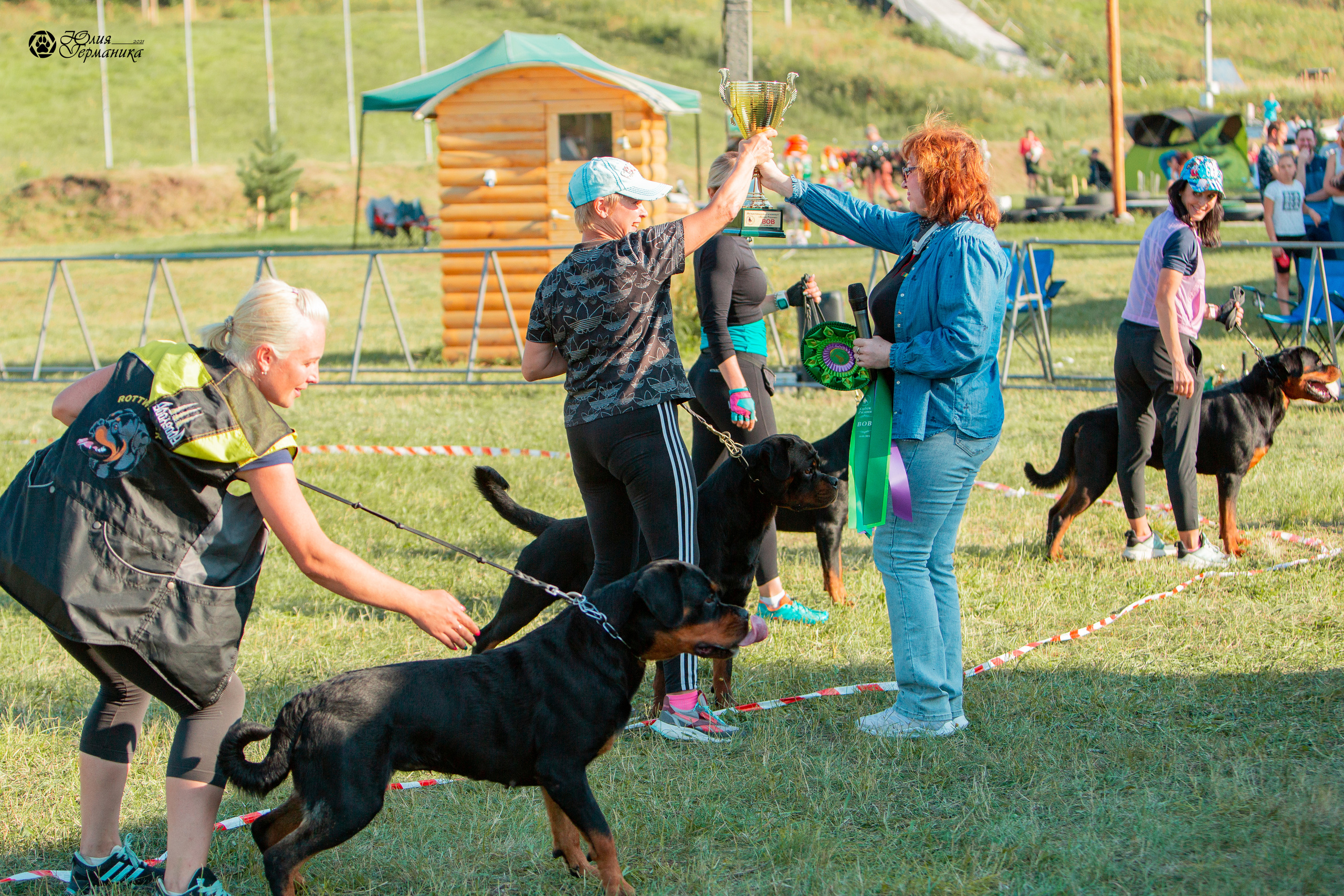 Рязань,Ховрино 14-15 августа 2021 моно ротвейлеров. Фотограф-анималист Юлия Германика