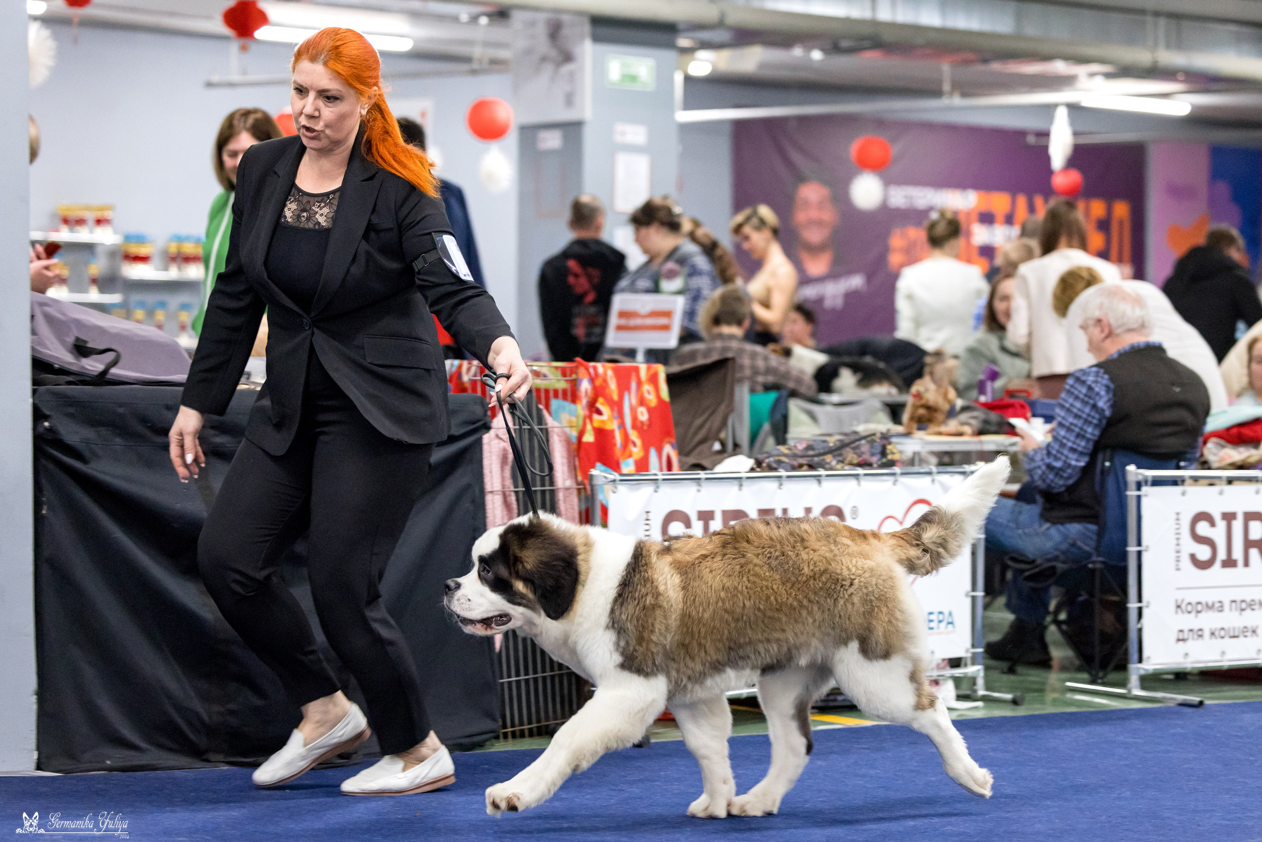 Сфера 28.01. и 4.02.2024. Фотограф-анималист Юлия Германика