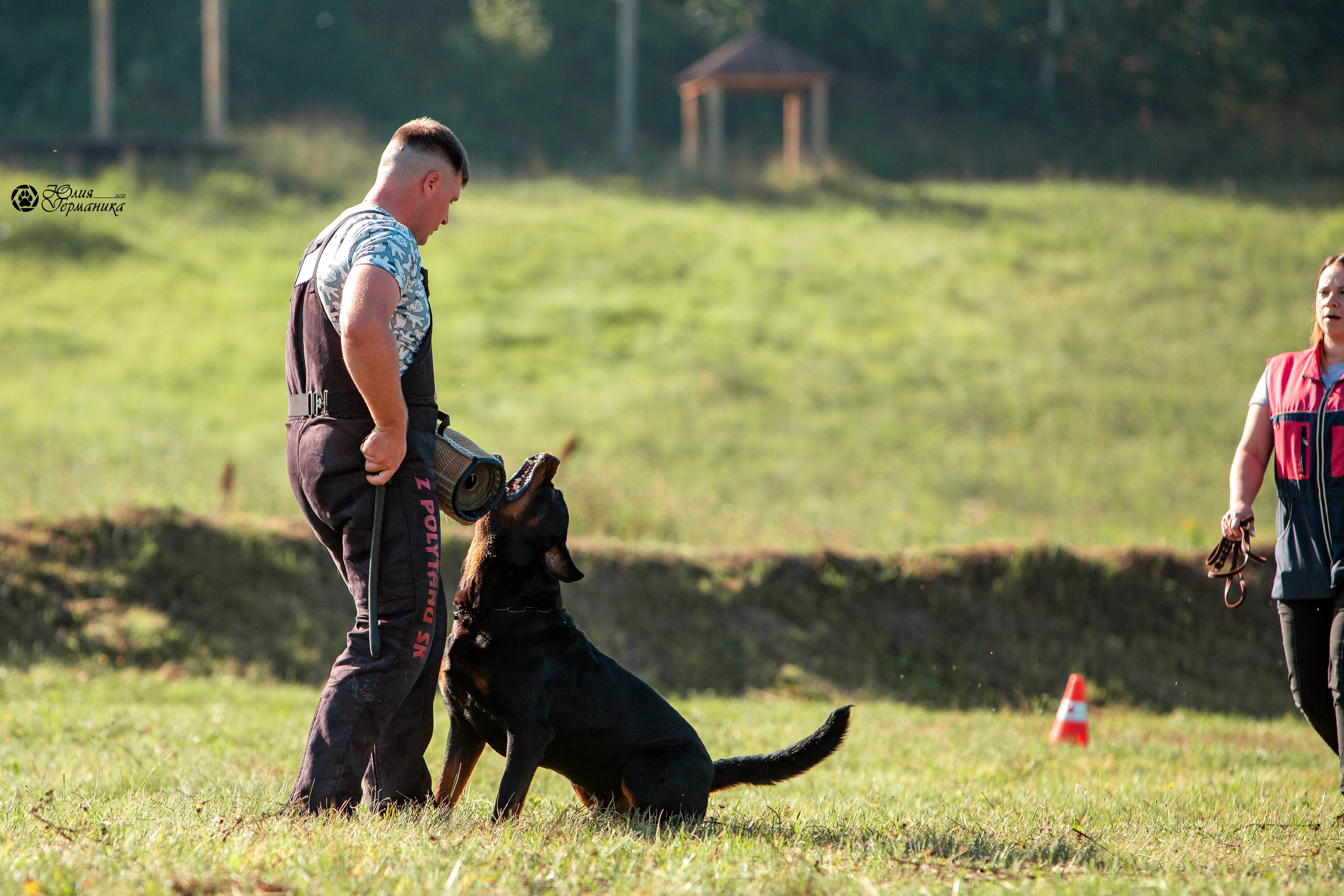 Рязань,Ховрино 14-15 августа 2021 моно ротвейлеров. Фотограф-анималист Юлия Германика