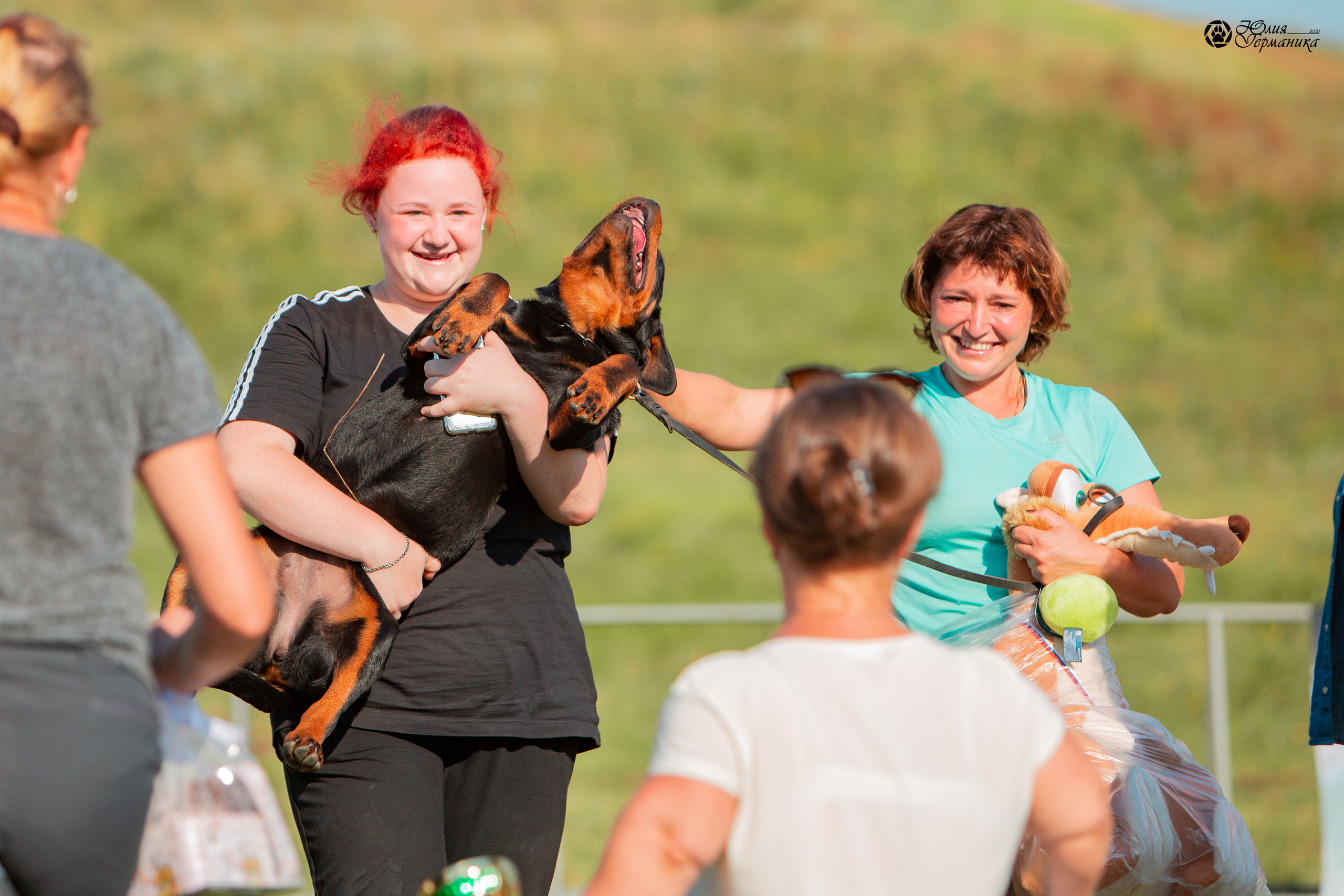 Рязань,Ховрино 14-15 августа 2021 моно ротвейлеров. Фотограф-анималист Юлия Германика