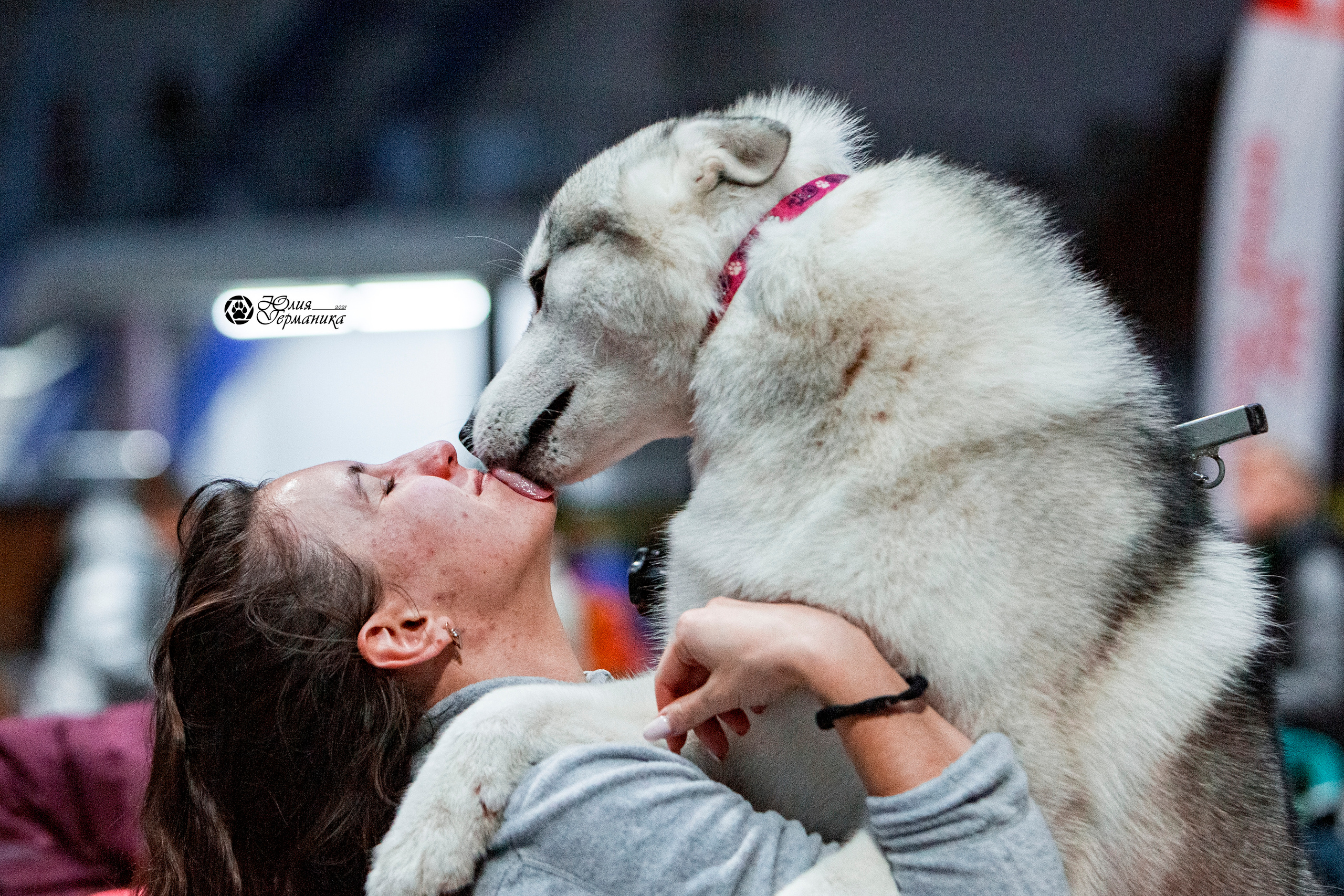 Минск 2хCACIB 27-28 ноября 2021. Фотограф-анималист Юлия Германика