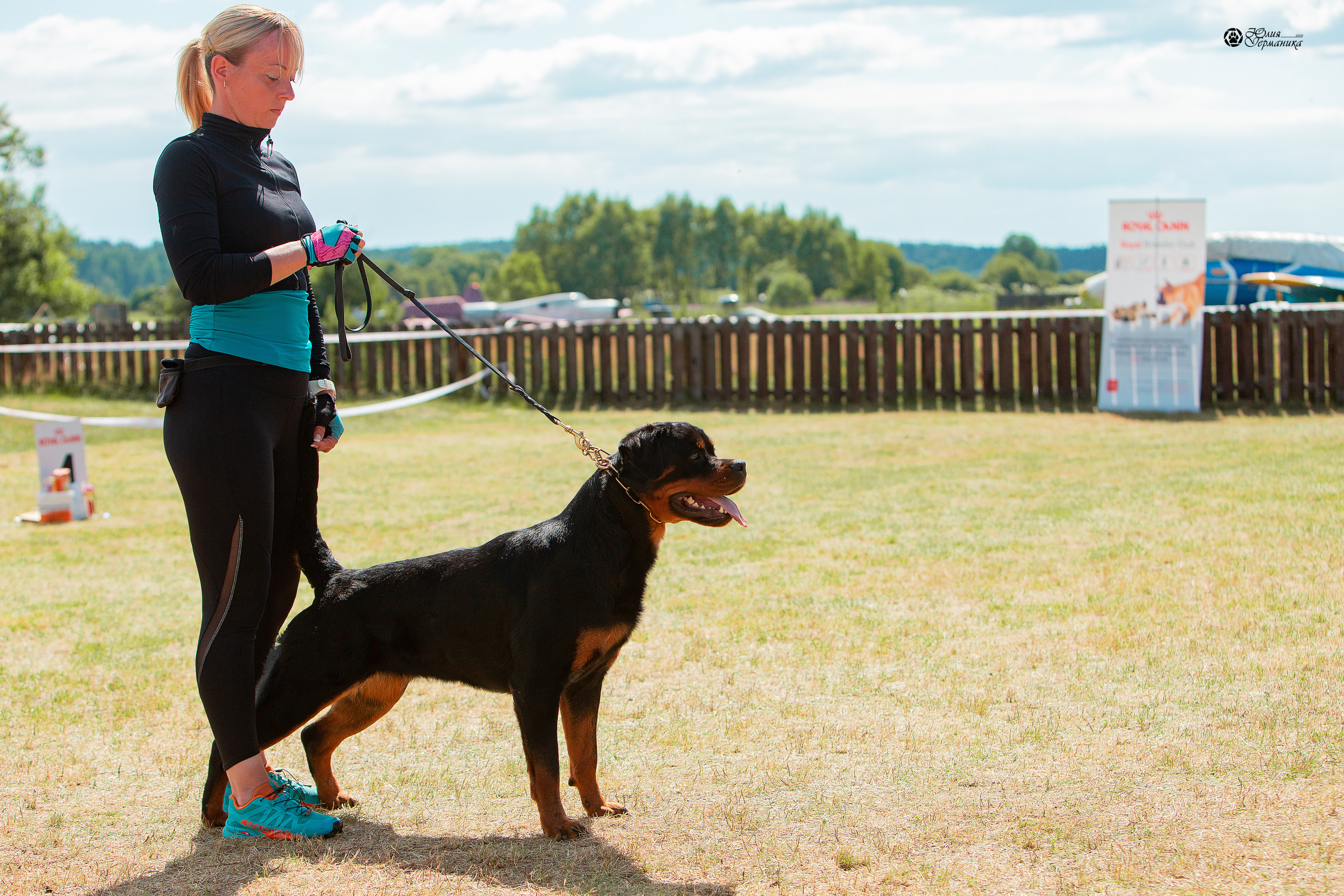 Тверь моно ротвейлеров 3-4 июля 2021. Фотограф-анималист Юлия Германика