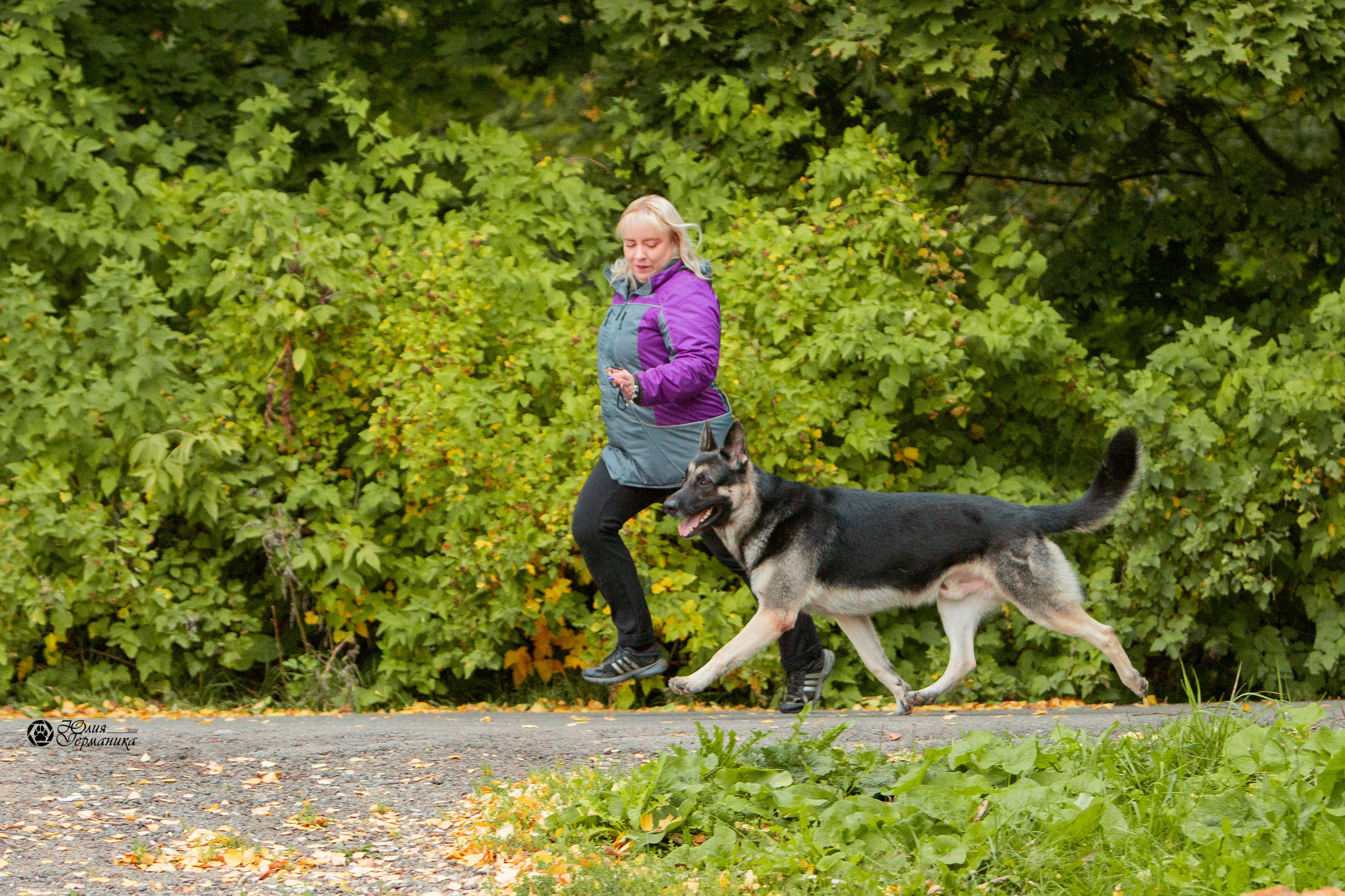 Свободная съемка. Фотограф-анималист Юлия Германика