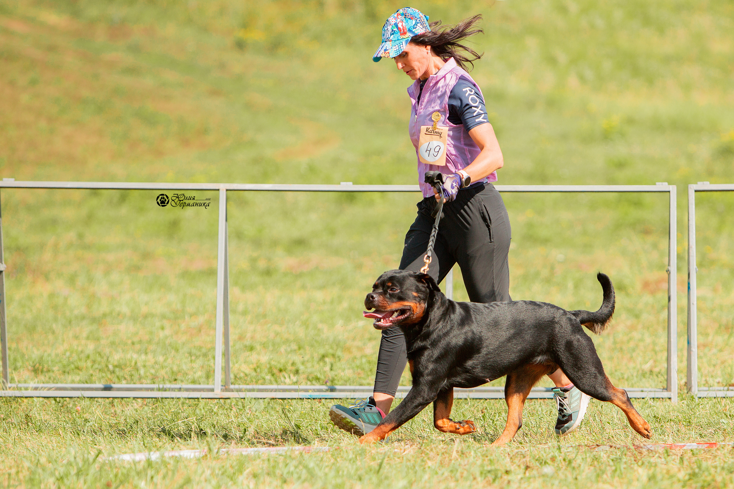 Рязань,Ховрино 14-15 августа 2021 моно ротвейлеров. Фотограф-анималист Юлия Германика