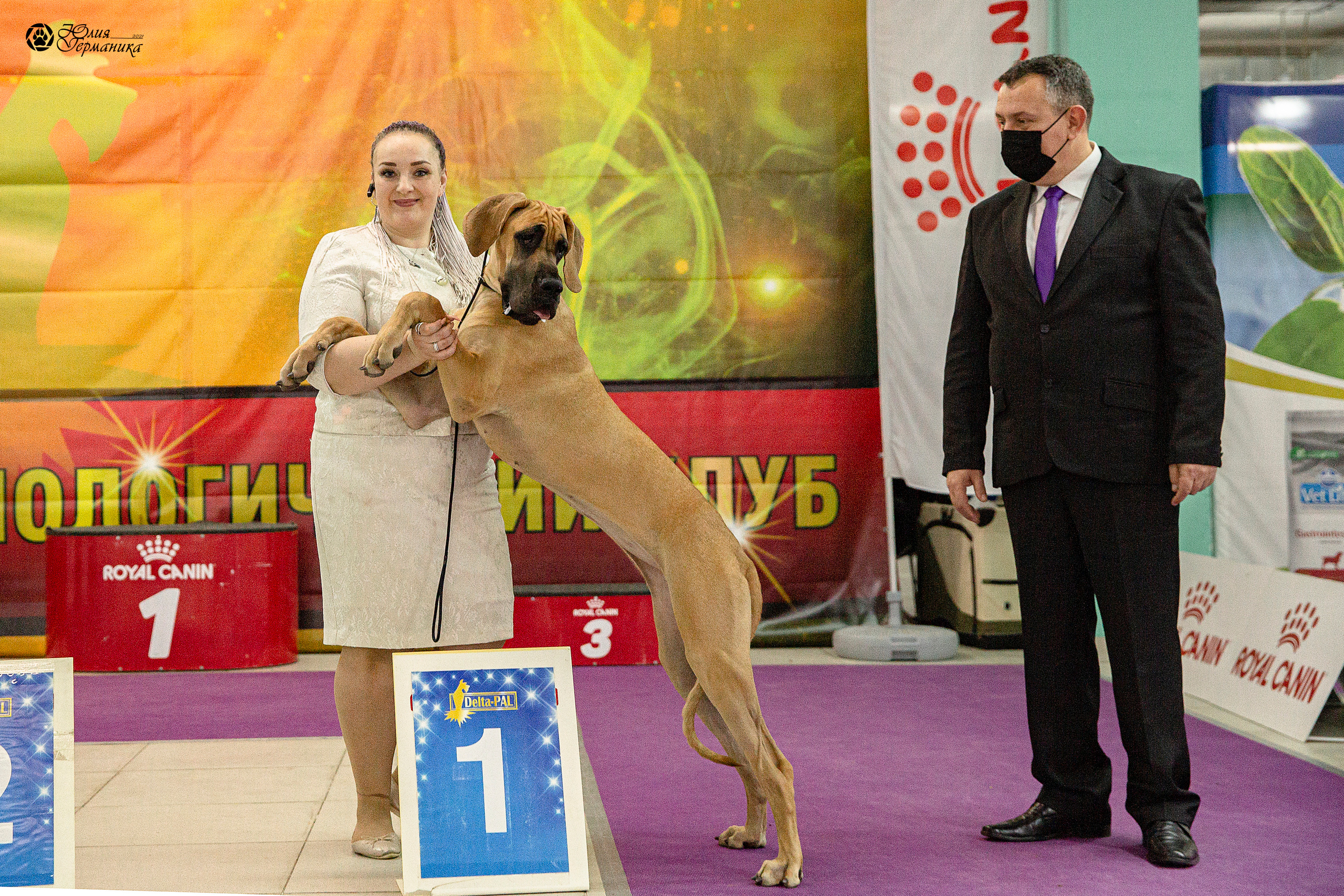 Чайник  13-14 ноября 2021. Фотограф-анималист Юлия Германика