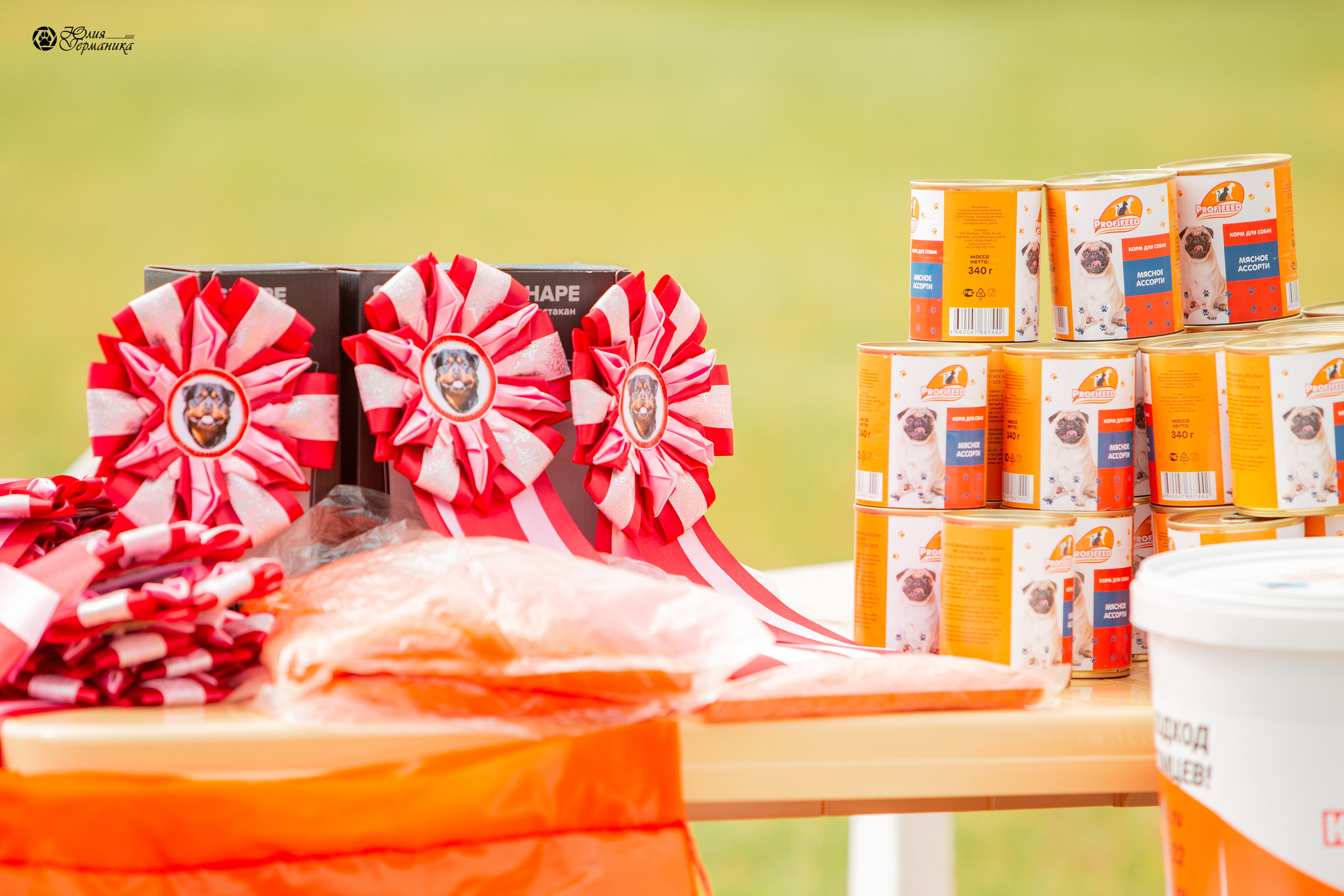 Тверь моно ротвейлеров 3-4 июля 2021. Фотограф-анималист Юлия Германика