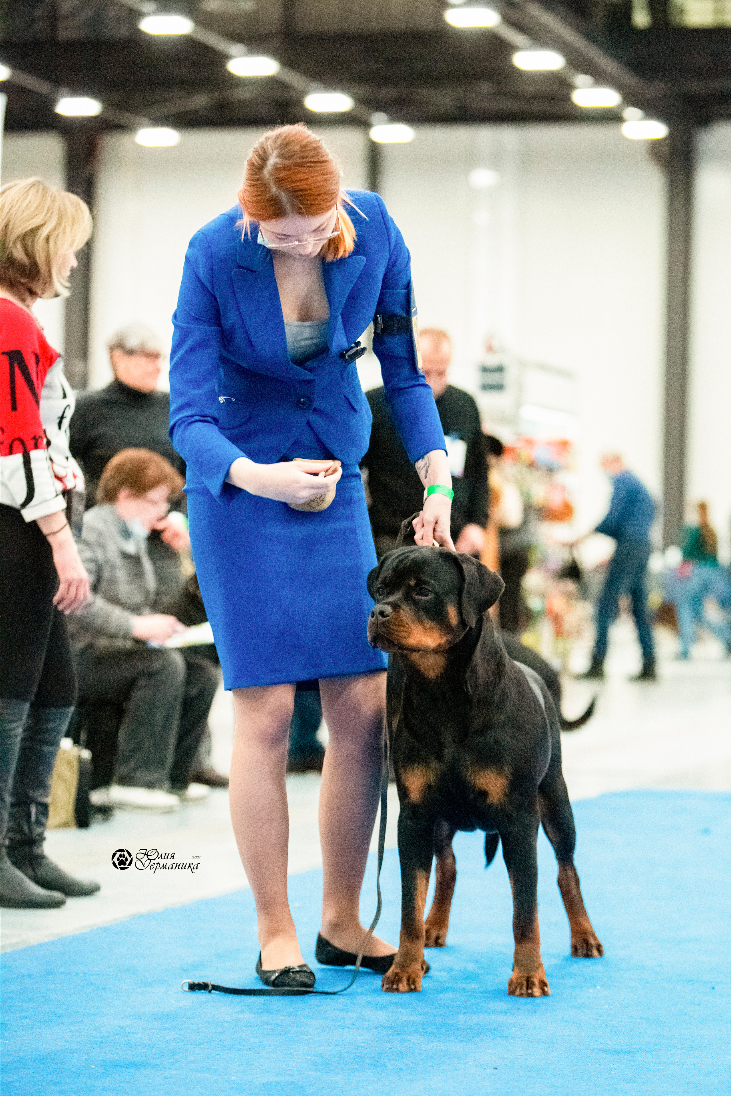 Санкт-Петербург 3хCACIB 10-12 декабря 2021. Фотограф-анималист Юлия Германика