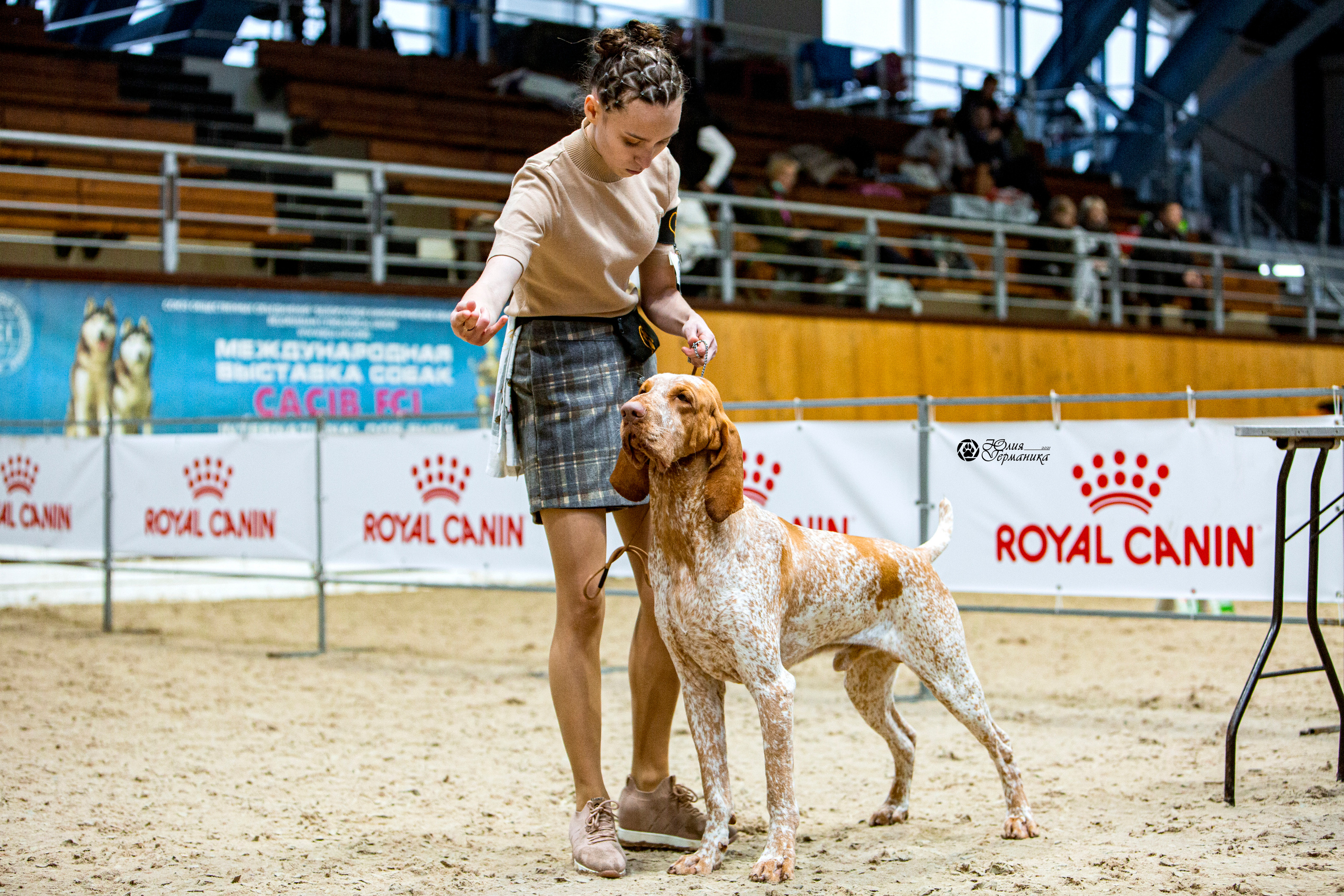 Минск 2хCACIB 27-28 ноября 2021. Фотограф-анималист Юлия Германика