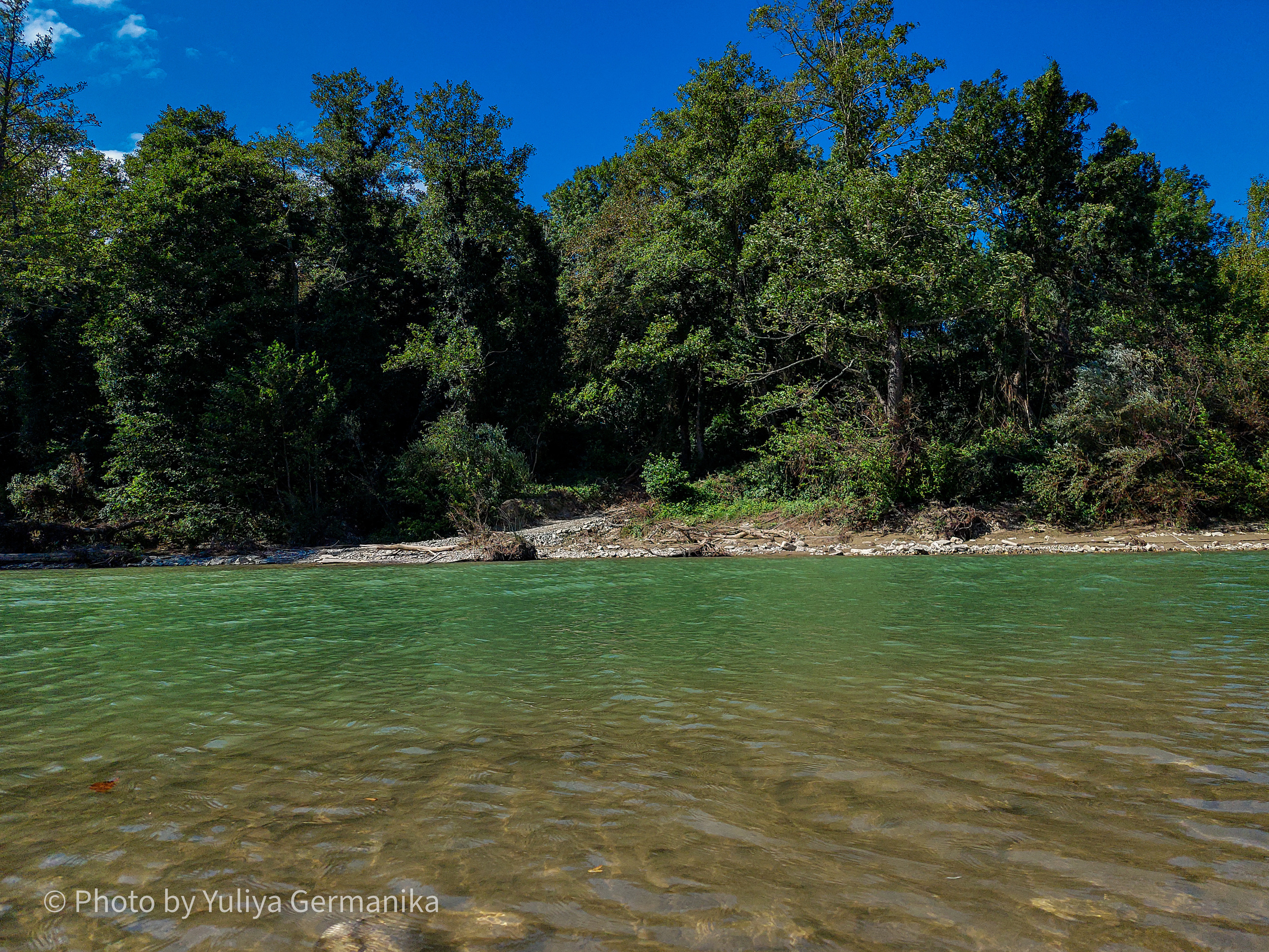 Разные фото на телефон.Города,природа. Фотограф-анималист Юлия Германика