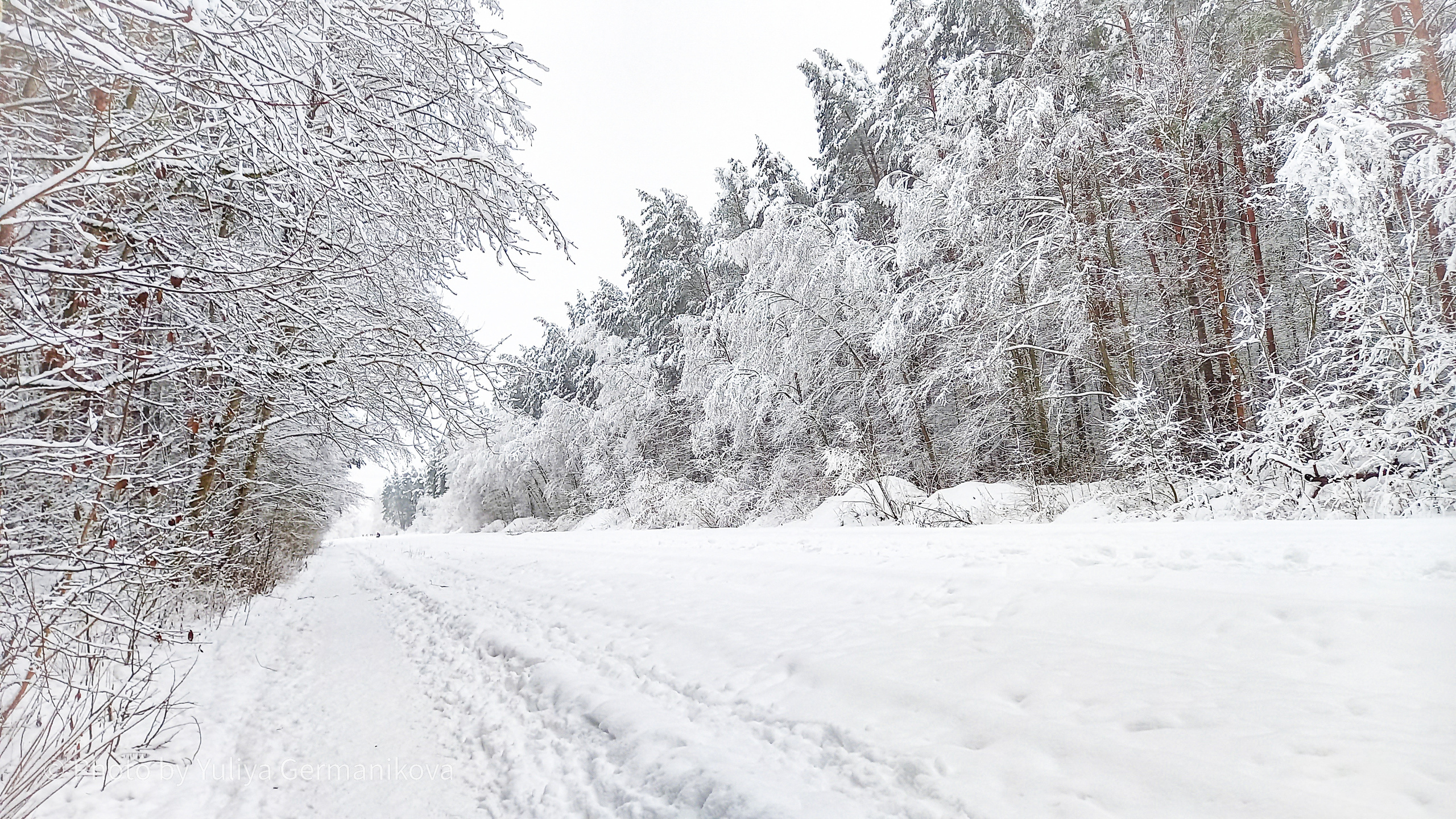 Разные фото на телефон.Города,природа. Фотограф-анималист Юлия Германика