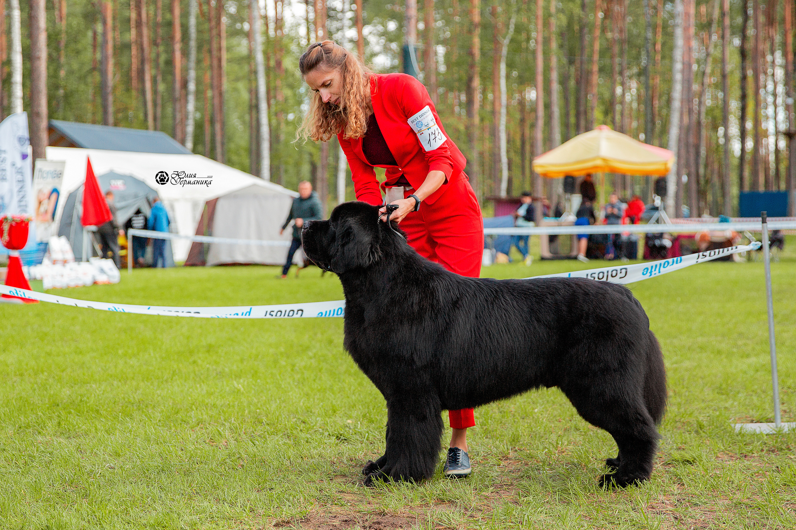 Псков 2xСАСIB 18-19 сентября 2021. Фотограф-анималист Юлия Германика