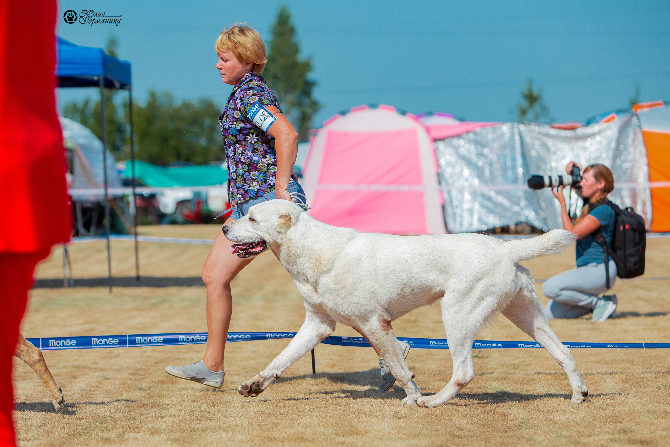 Ярославль CACIB 18 июля 2021. Фотограф-анималист Юлия Германика
