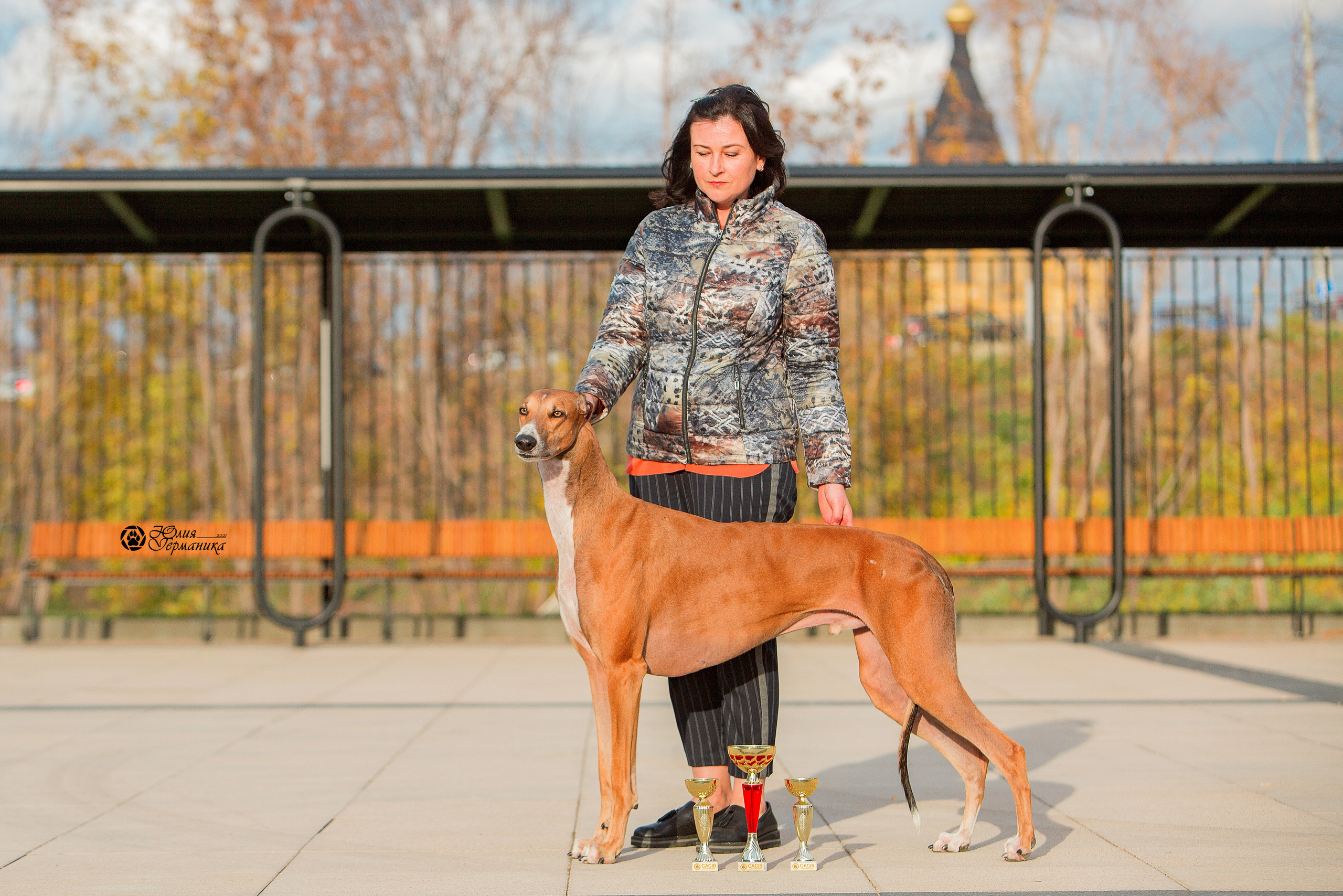 Нижний Новгород 3хCACIB 15-17 октября 2021. Фотограф-анималист Юлия Германика