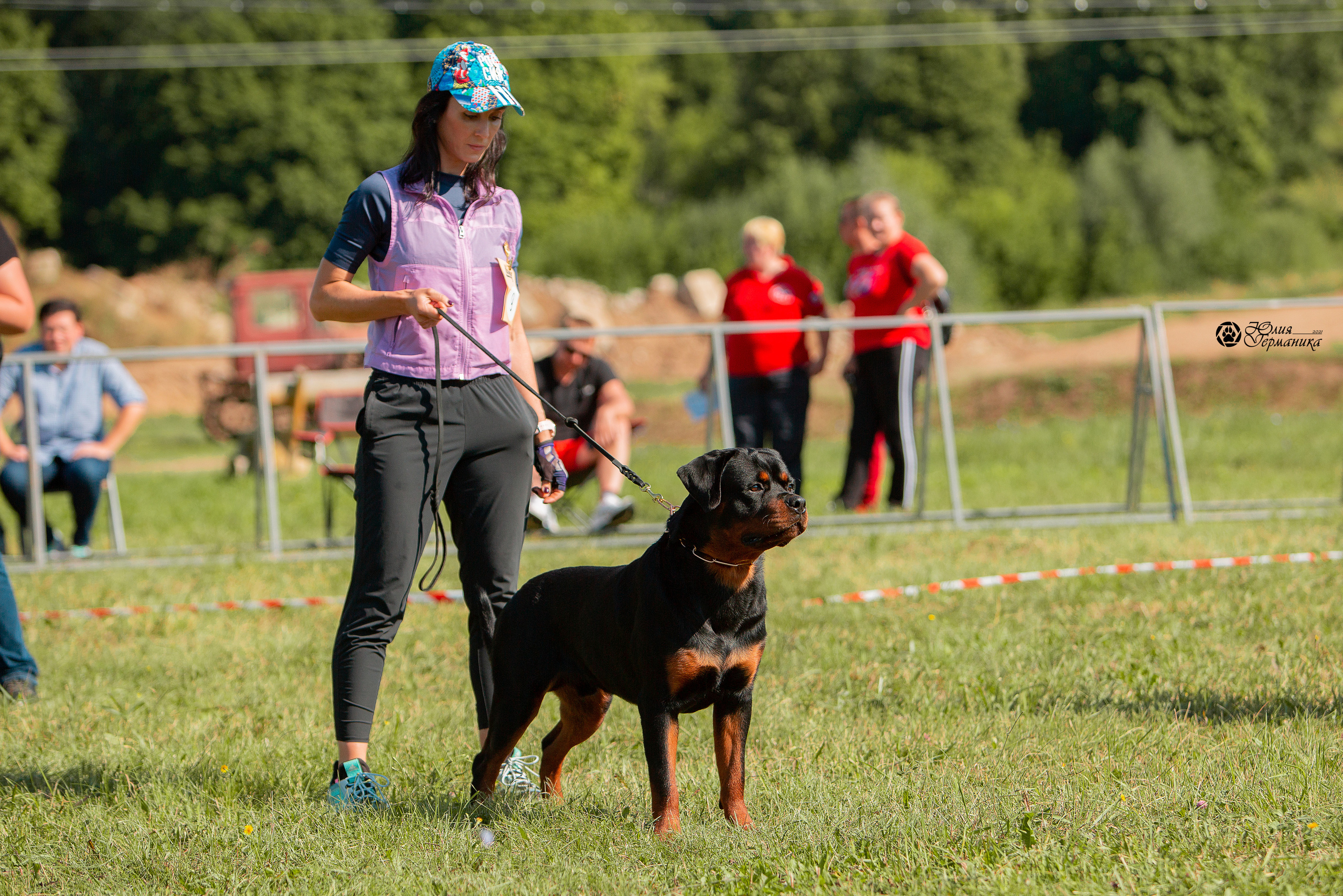 Рязань,Ховрино 14-15 августа 2021 моно ротвейлеров. Фотограф-анималист Юлия Германика