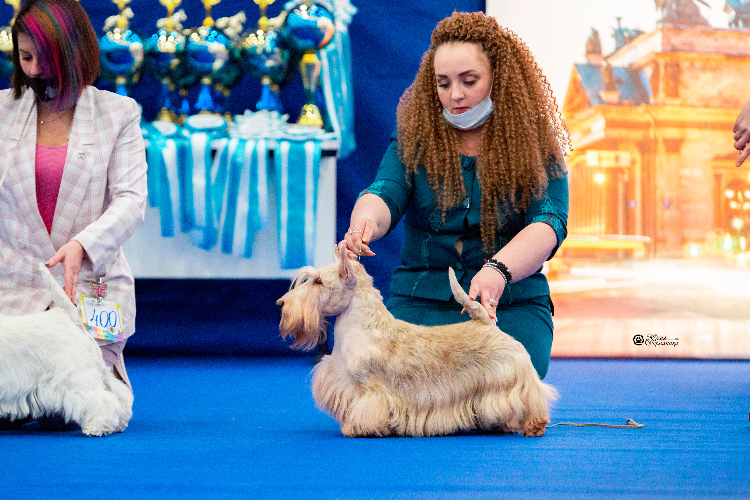 Санкт-Петербург 3хCACIB 10-12 декабря 2021. Фотограф-анималист Юлия Германика