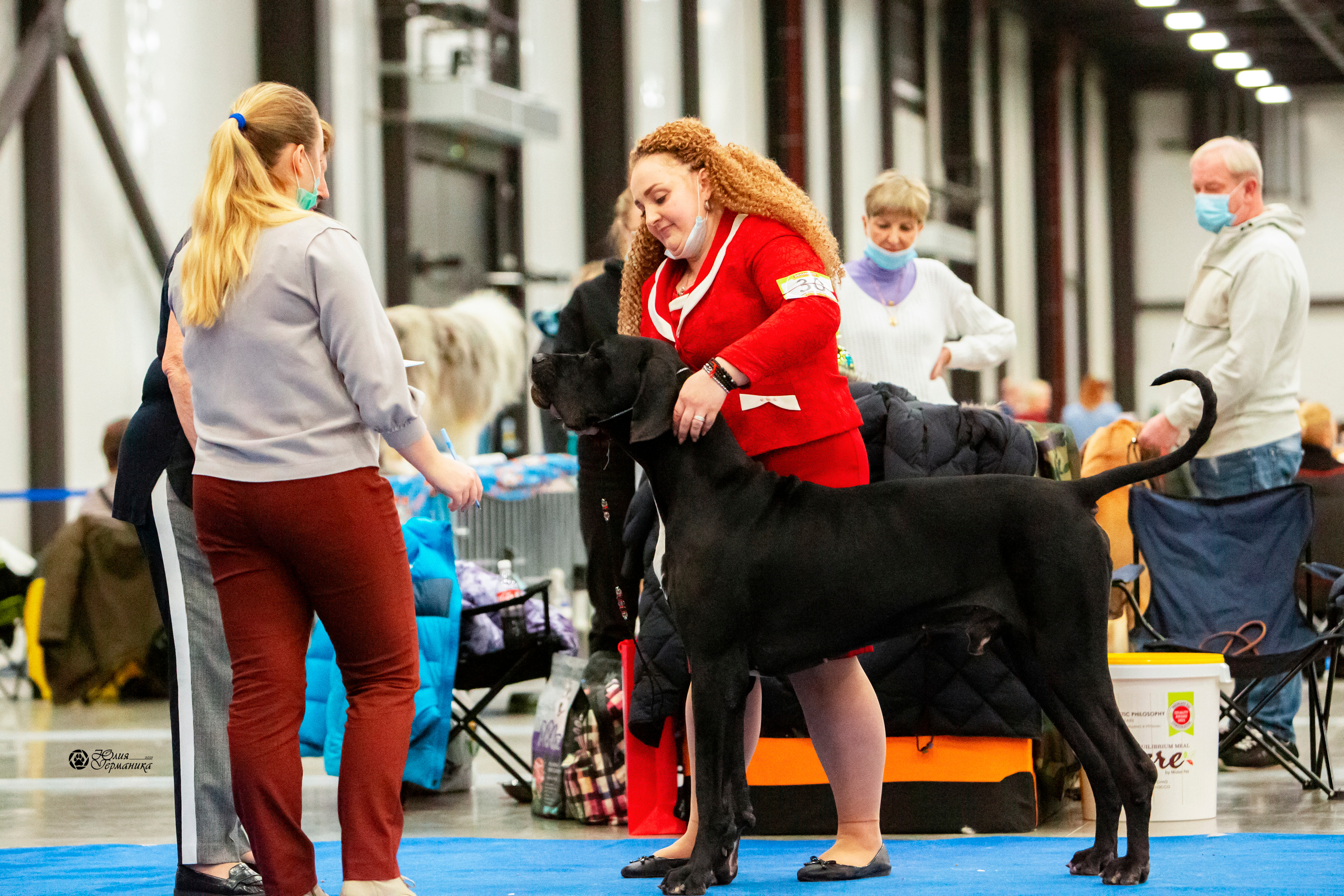 Санкт-Петербург 3хCACIB 10-12 декабря 2021. Фотограф-анималист Юлия Германика
