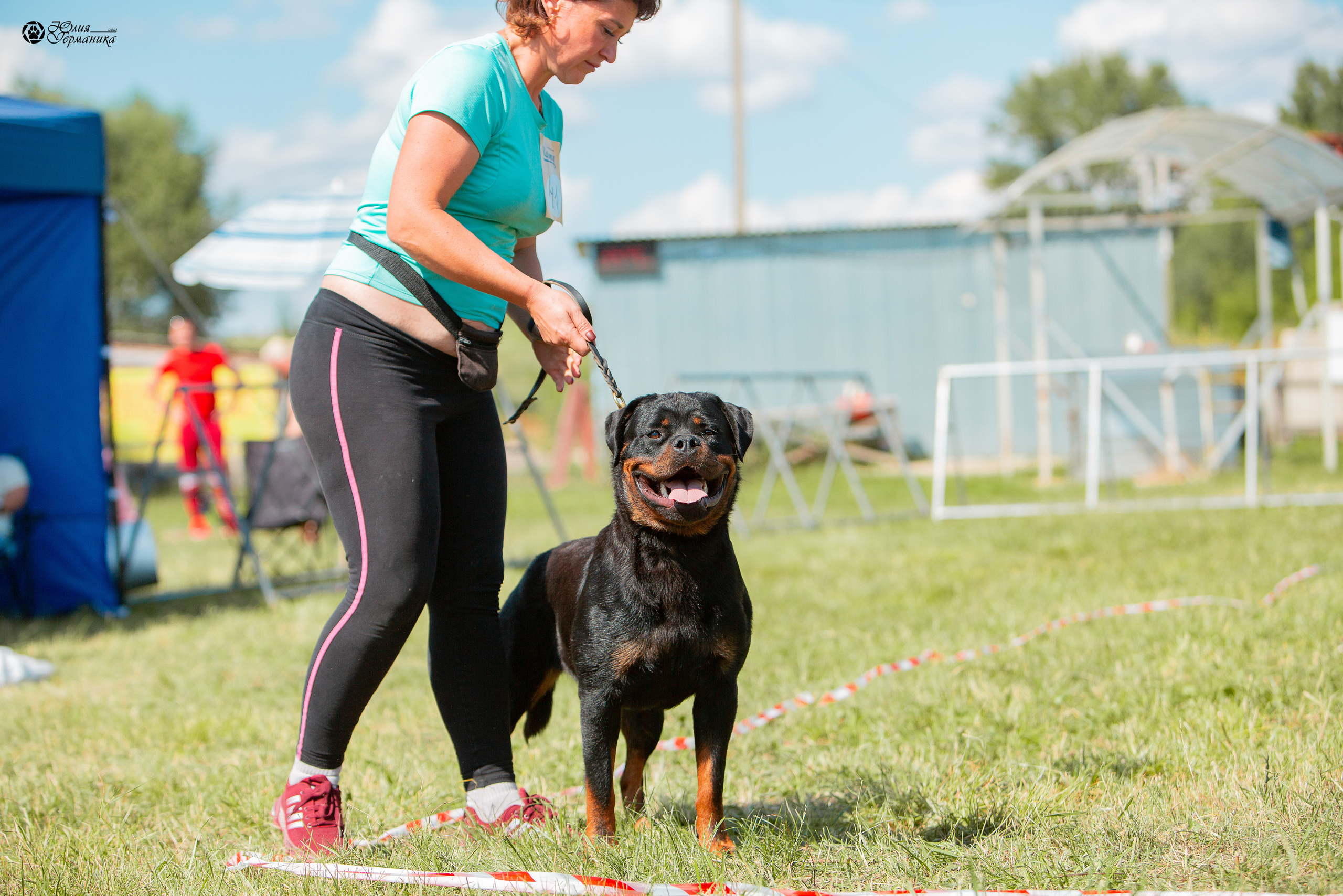 Рязань,Ховрино 14-15 августа 2021 моно ротвейлеров. Фотограф-анималист Юлия Германика