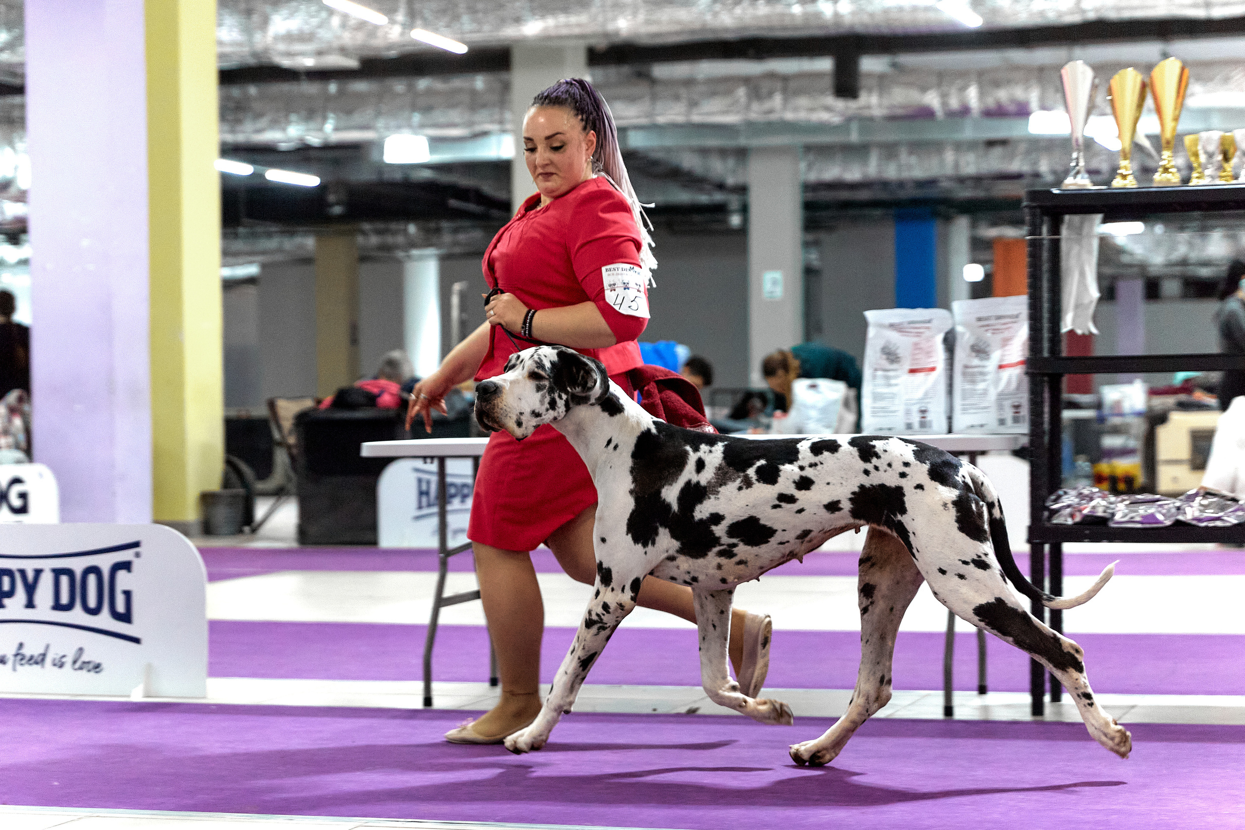 Чайник  13-14 ноября 2021. Фотограф-анималист Юлия Германика