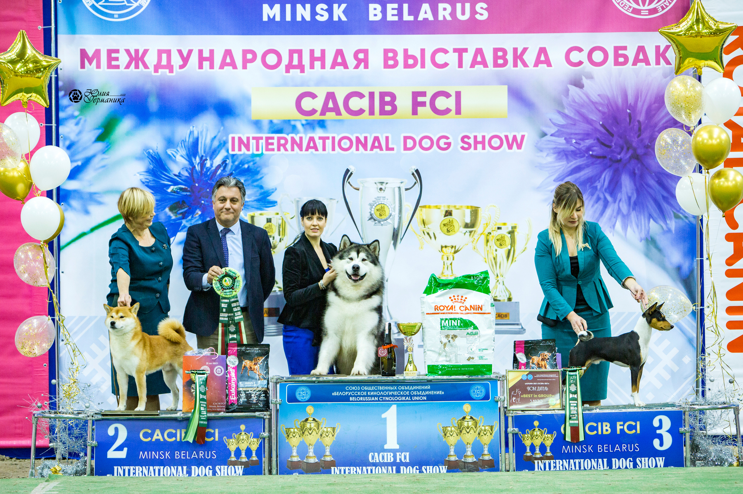 Минск 2хCACIB 27-28 ноября 2021. Фотограф-анималист Юлия Германика