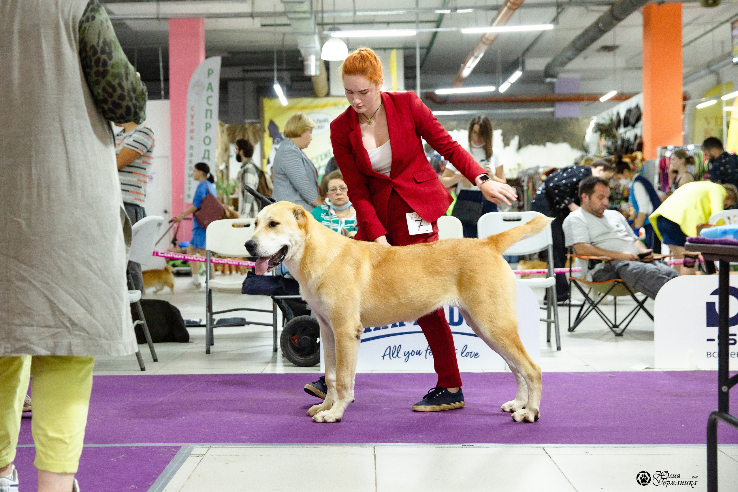 Чайна-Таун 2021. Фотограф-анималист Юлия Германика