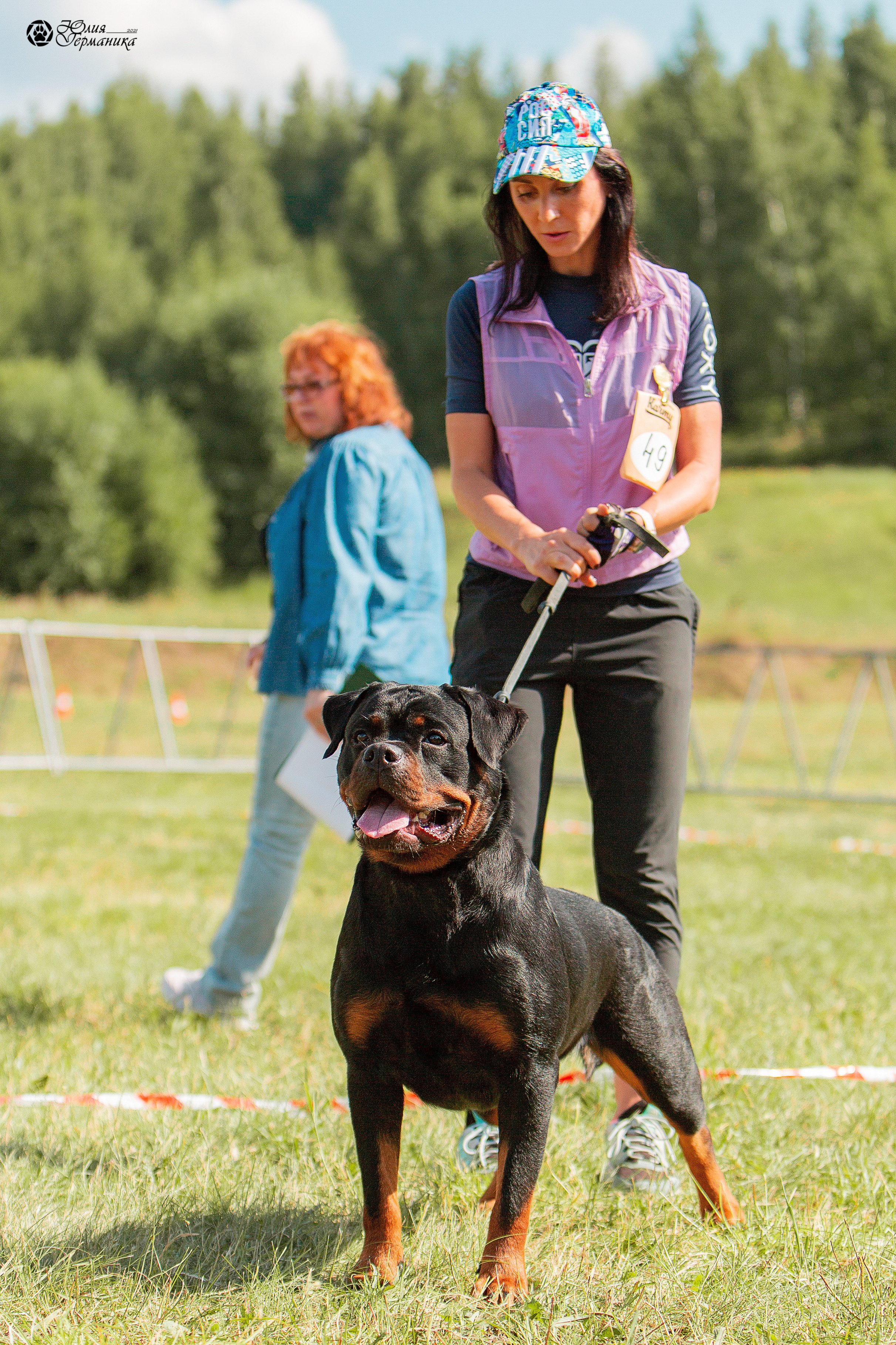 Рязань,Ховрино 14-15 августа 2021 моно ротвейлеров. Фотограф-анималист Юлия Германика