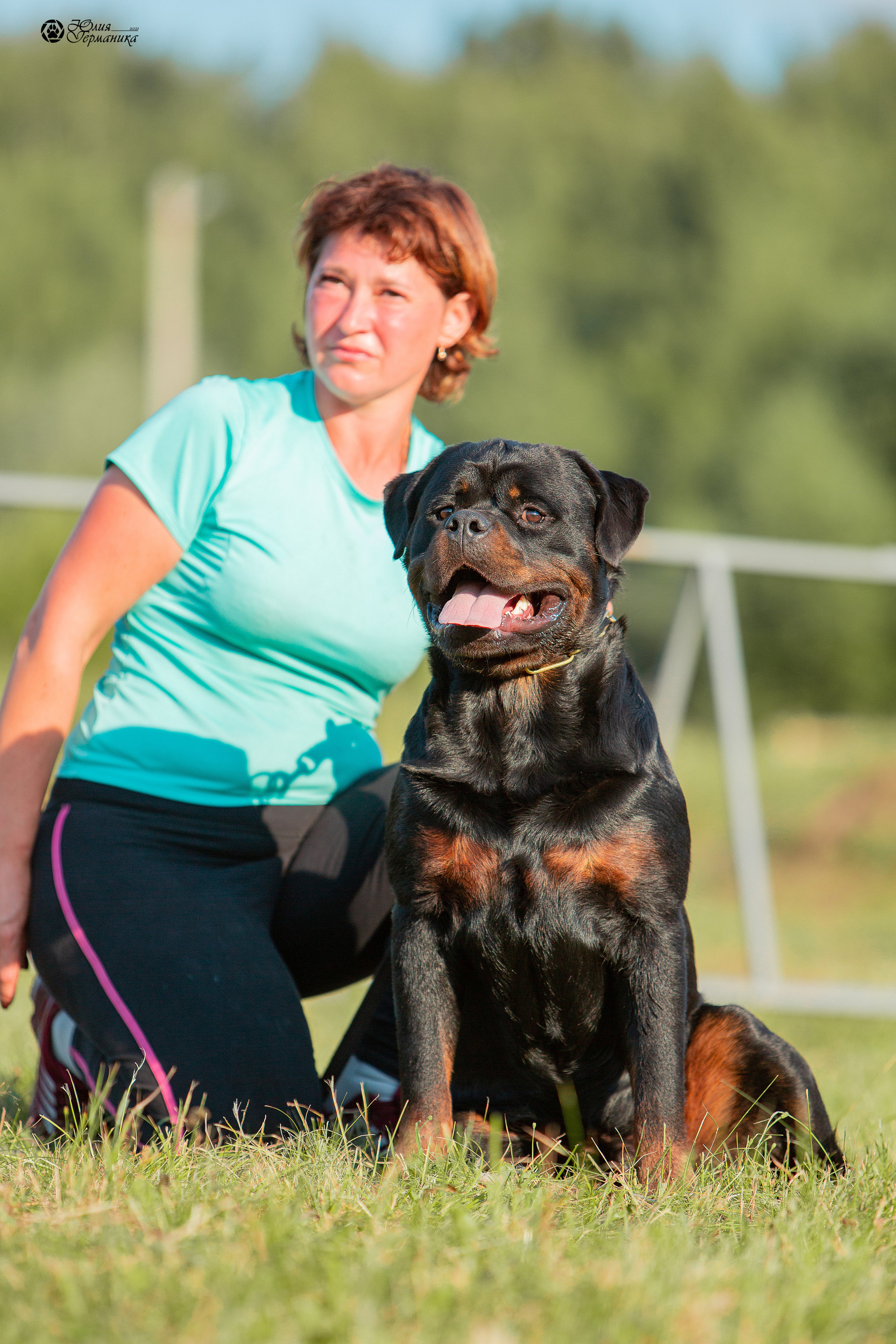 Рязань,Ховрино 14-15 августа 2021 моно ротвейлеров. Фотограф-анималист Юлия Германика