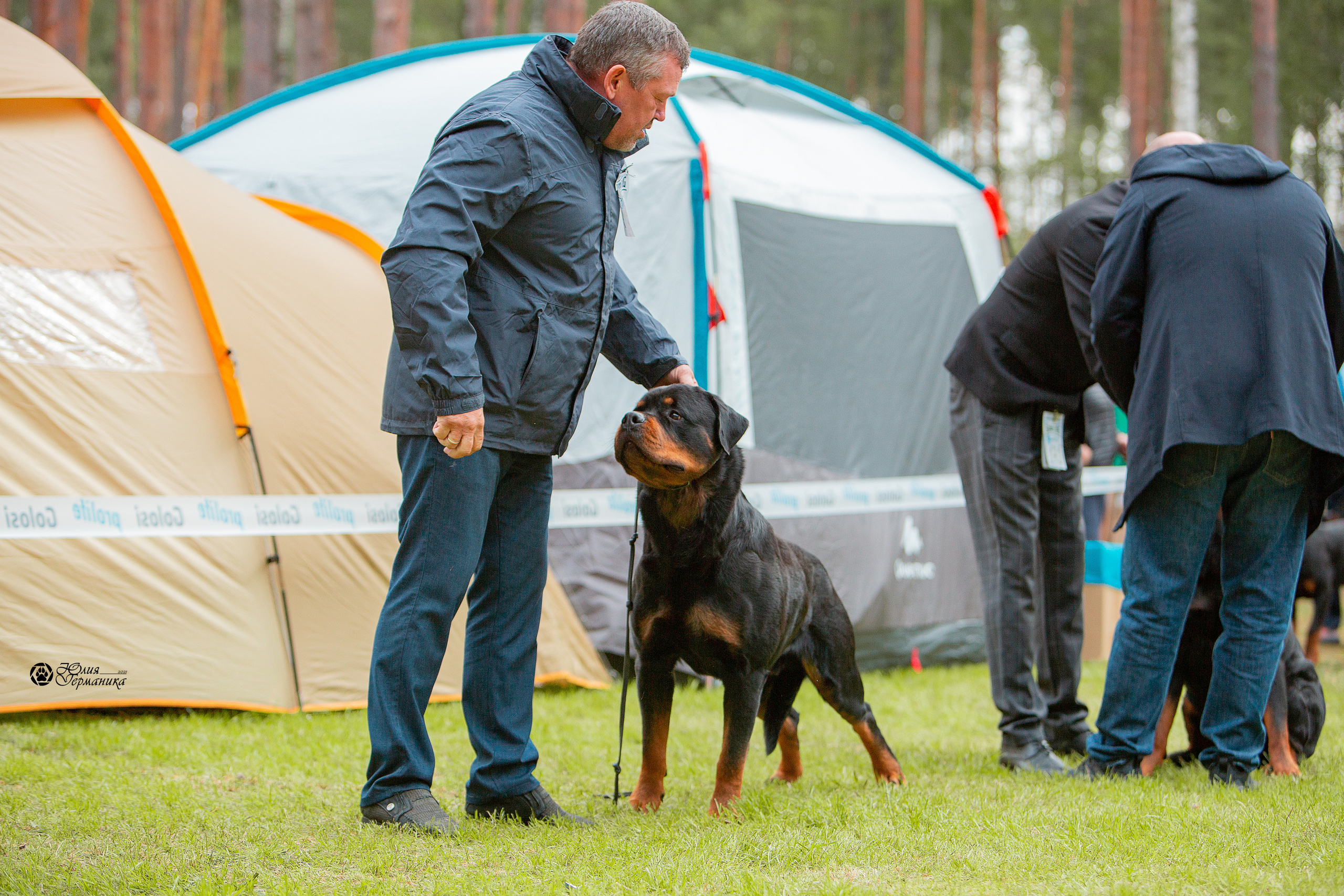 Псков 2xСАСIB 18-19 сентября 2021. Фотограф-анималист Юлия Германика