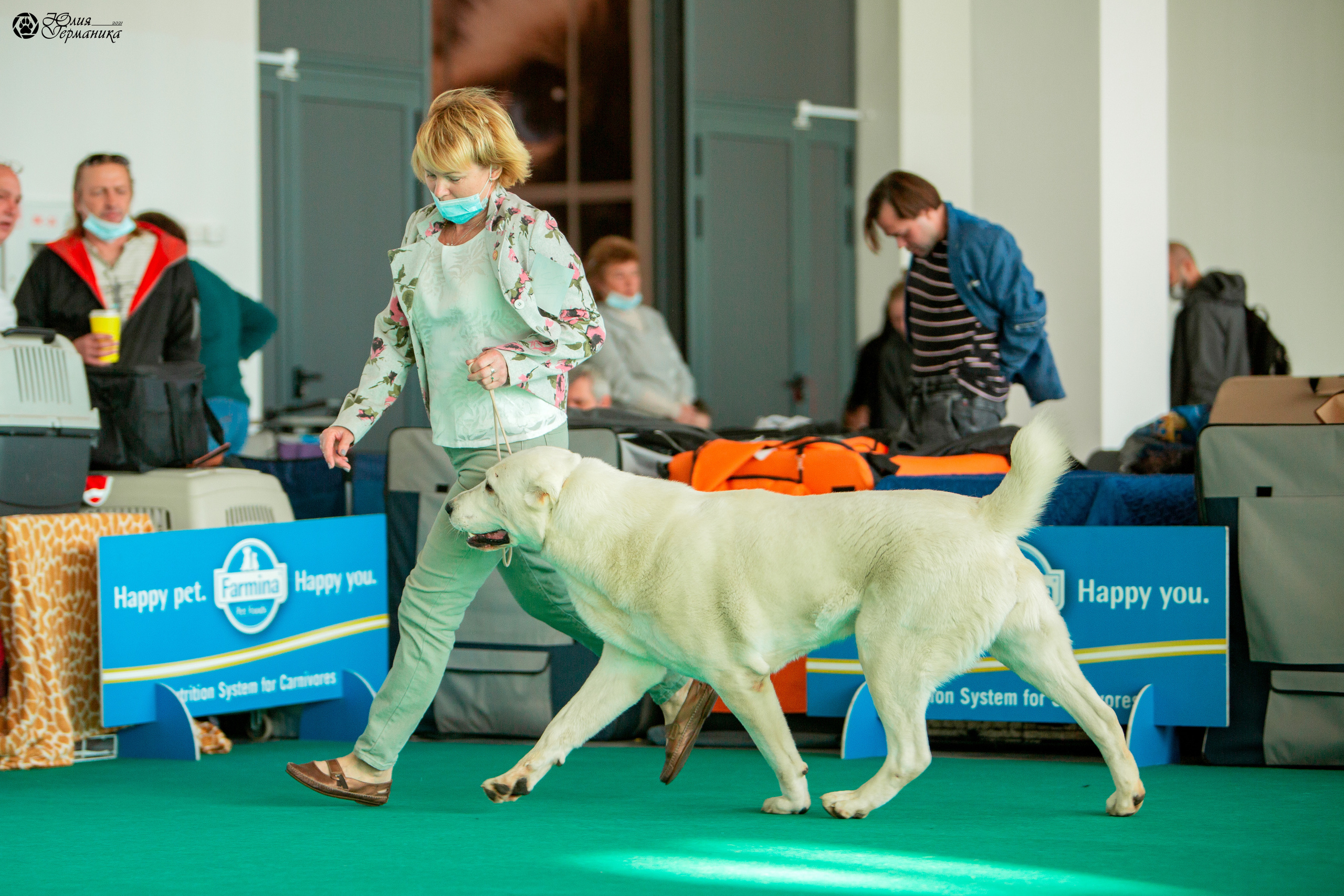 Нижний Новгород 3хCACIB 15-17 октября 2021. Фотограф-анималист Юлия Германика