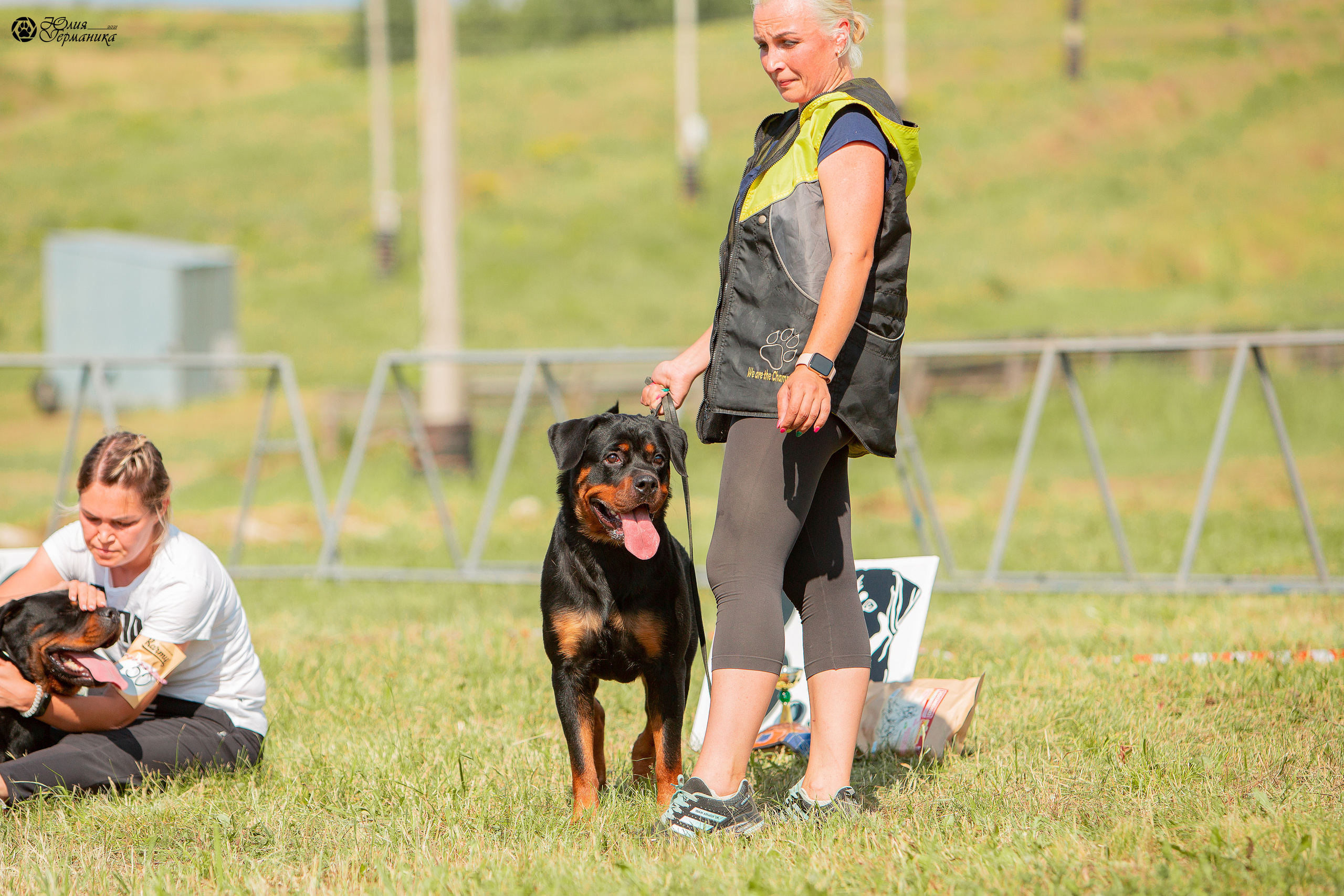 Рязань,Ховрино 14-15 августа 2021 моно ротвейлеров. Фотограф-анималист Юлия Германика