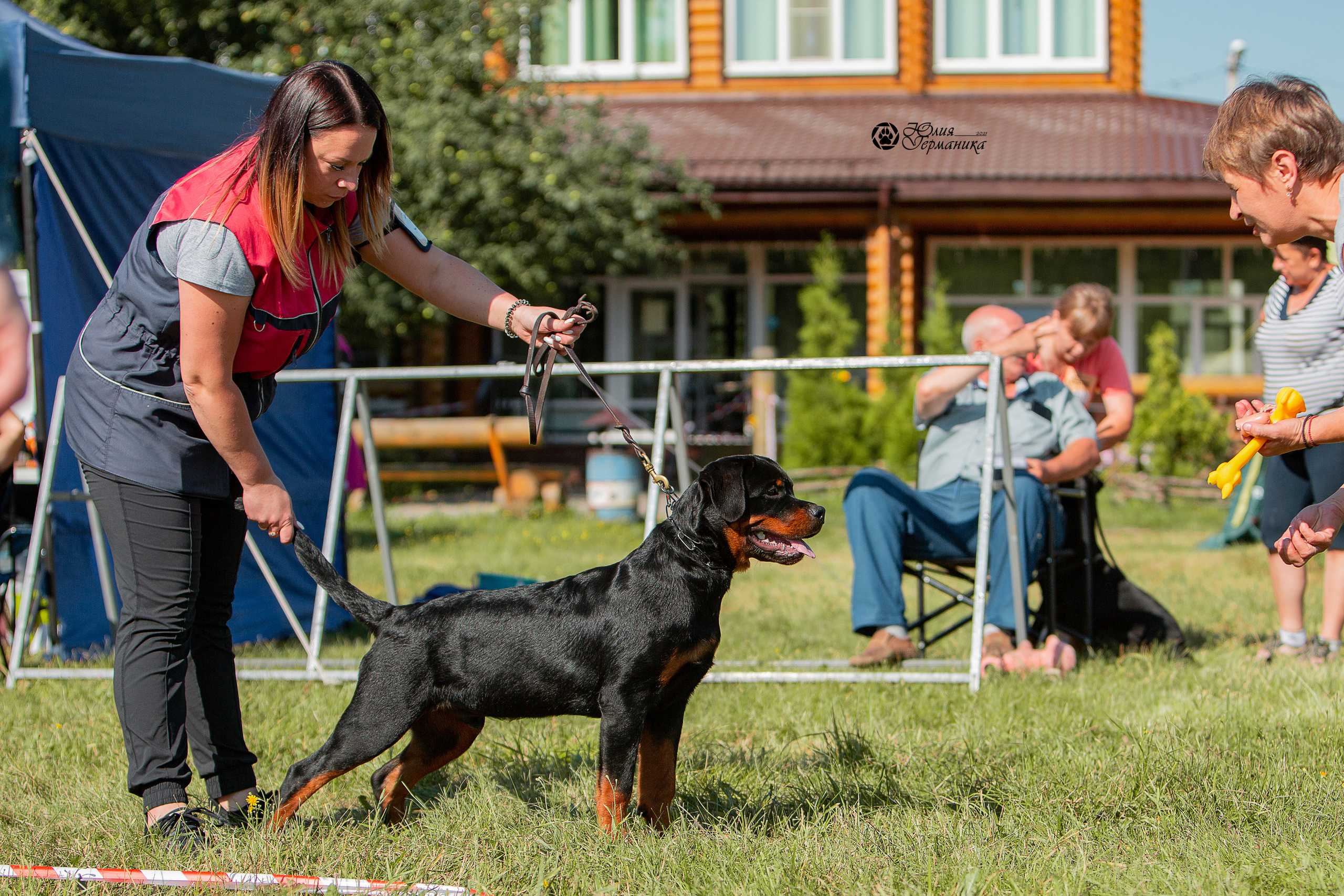 Монопородные выставки. Фотограф-анималист Юлия Германика