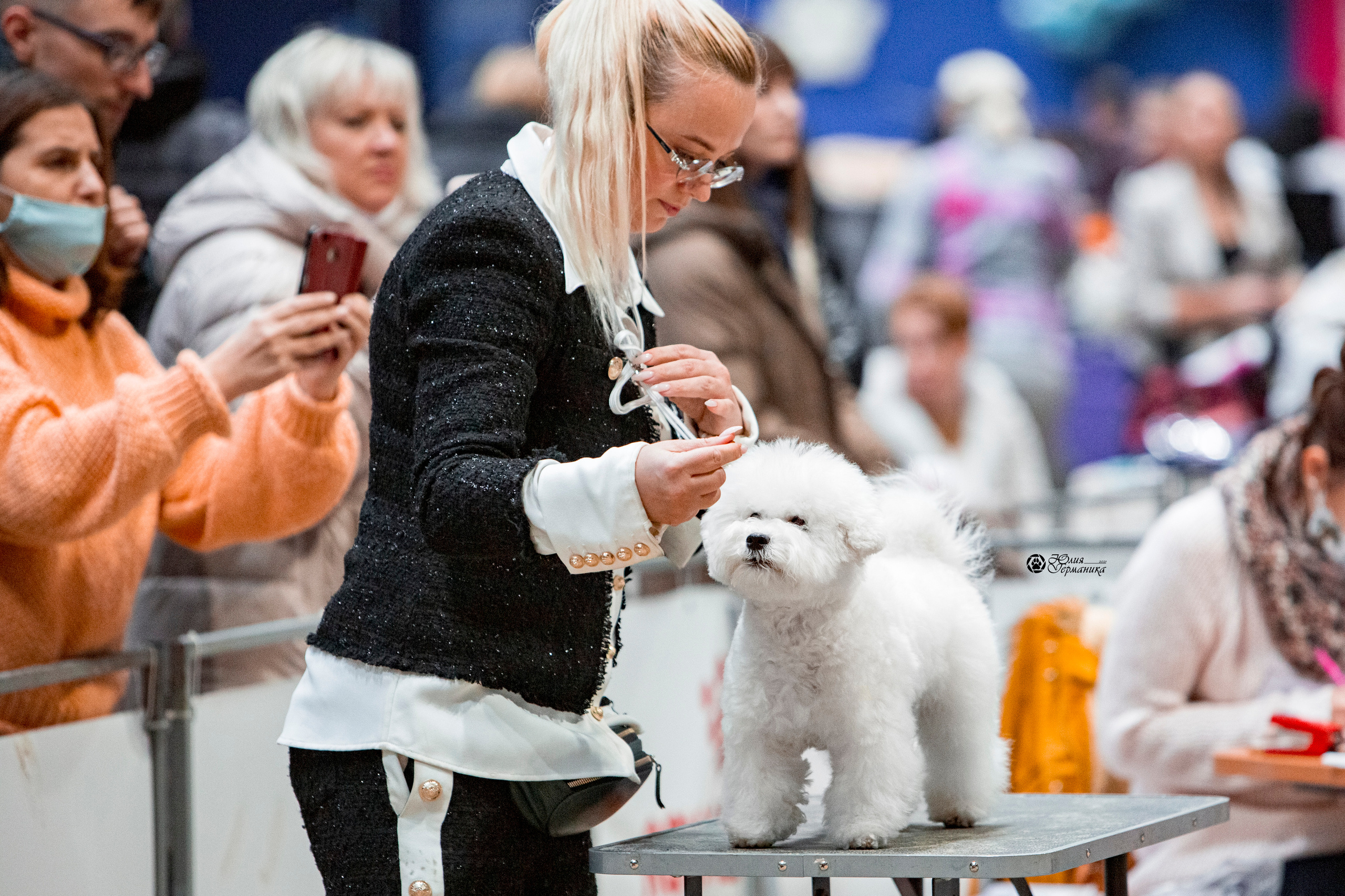Минск 2хCACIB 27-28 ноября 2021. Фотограф-анималист Юлия Германика