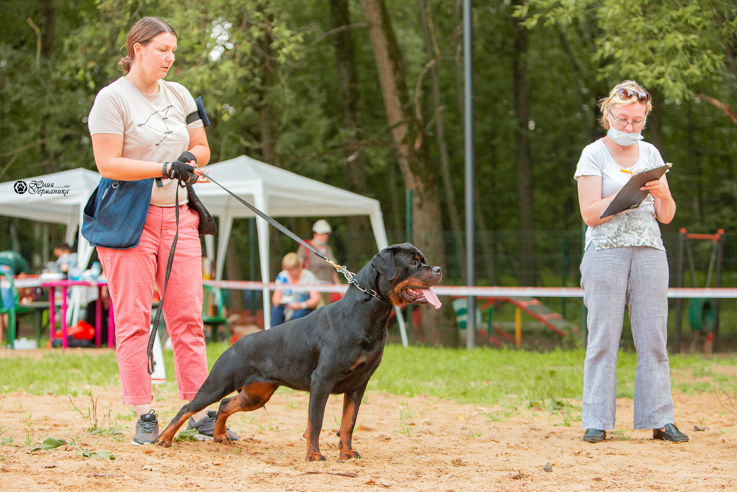 Рязань,Ховрино 14-15 августа 2021 моно ротвейлеров. Фотограф-анималист Юлия Германика