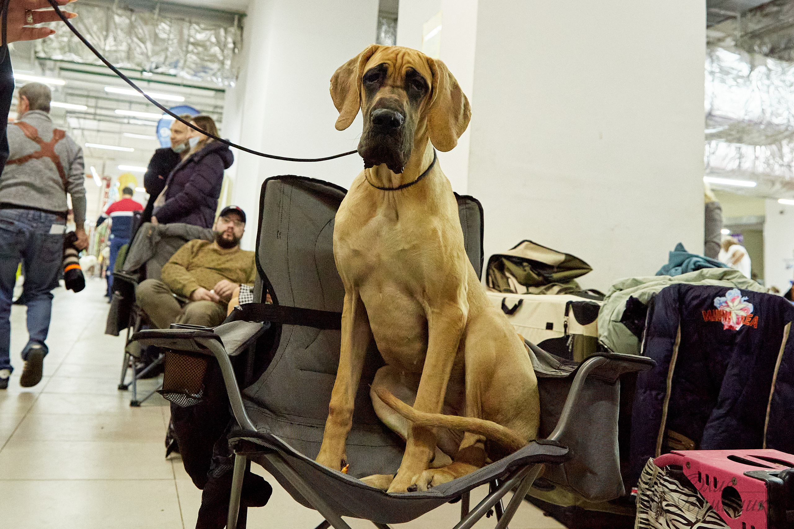 Чайник  13-14 ноября 2021. Фотограф-анималист Юлия Германика