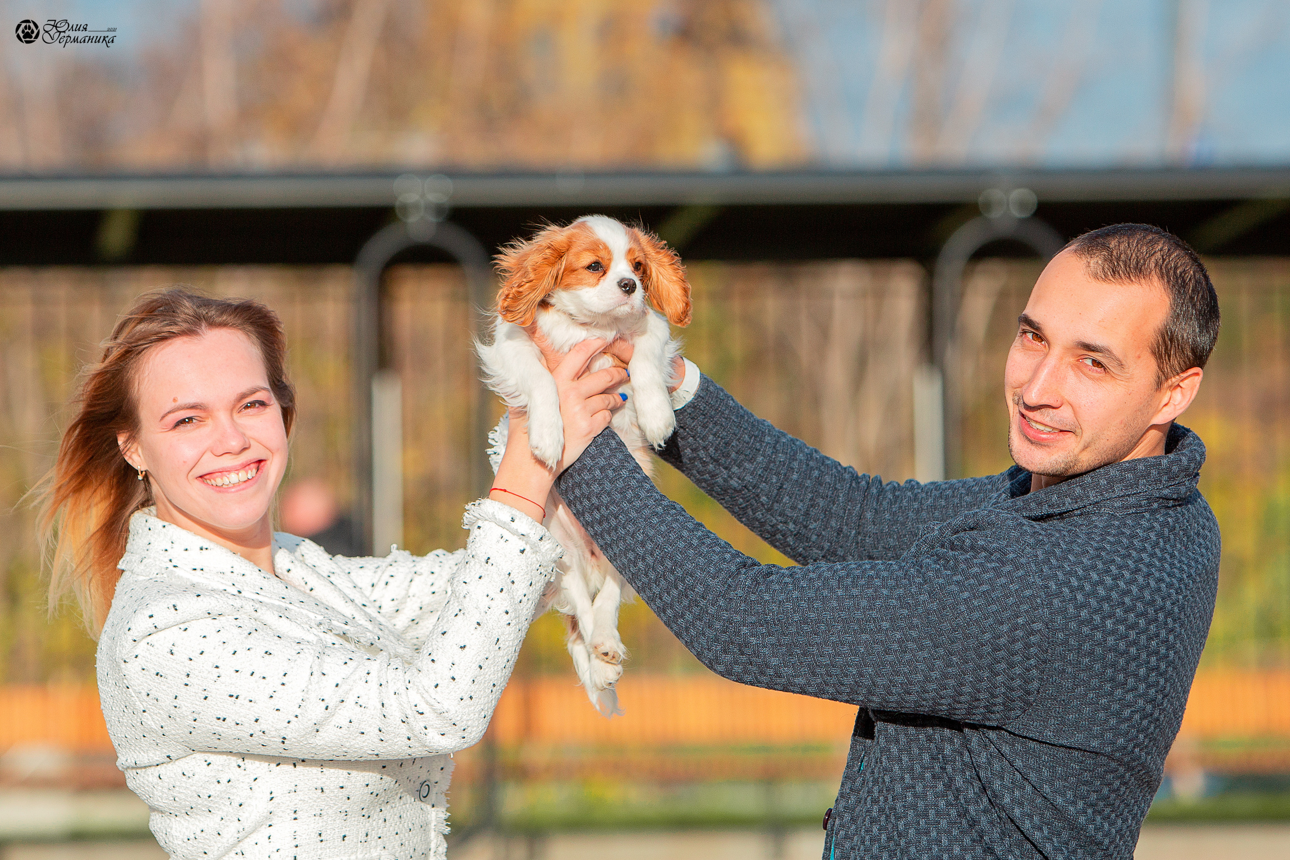 Нижний Новгород 3хCACIB 15-17 октября 2021. Фотограф-анималист Юлия Германика