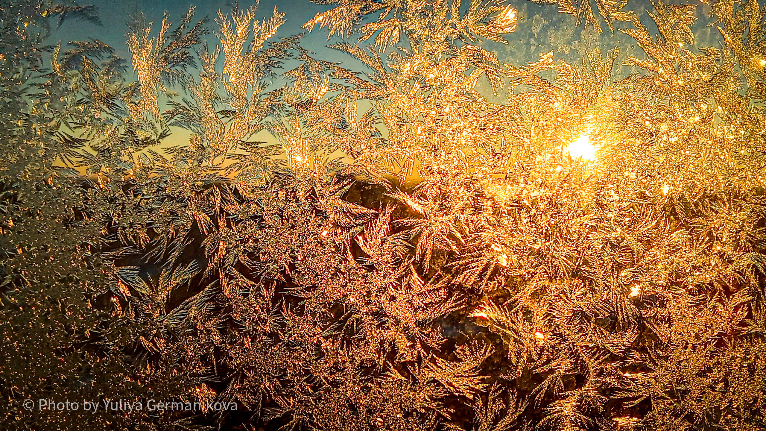 Разные фото на телефон.Города,природа. Фотограф-анималист Юлия Германика