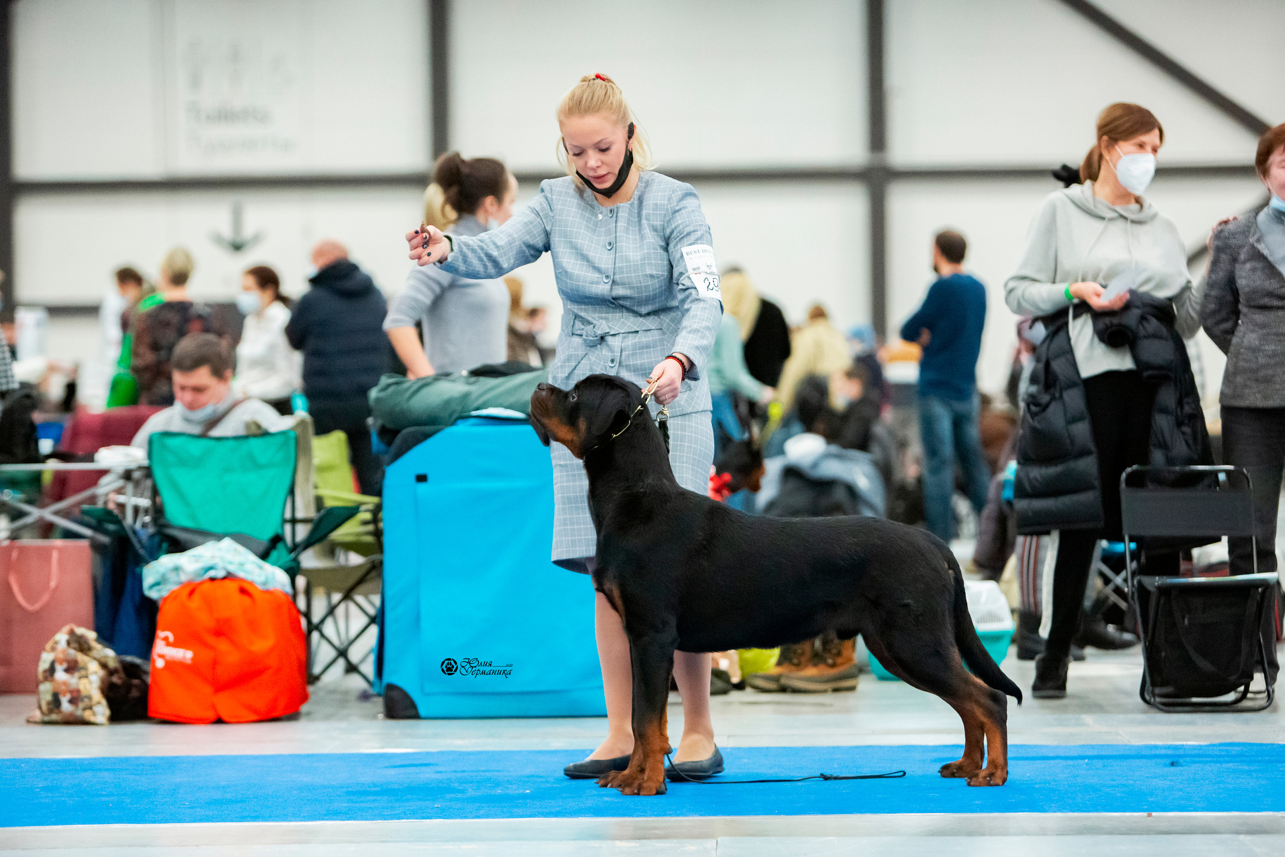 Санкт-Петербург 3хCACIB 10-12 декабря 2021. Фотограф-анималист Юлия Германика