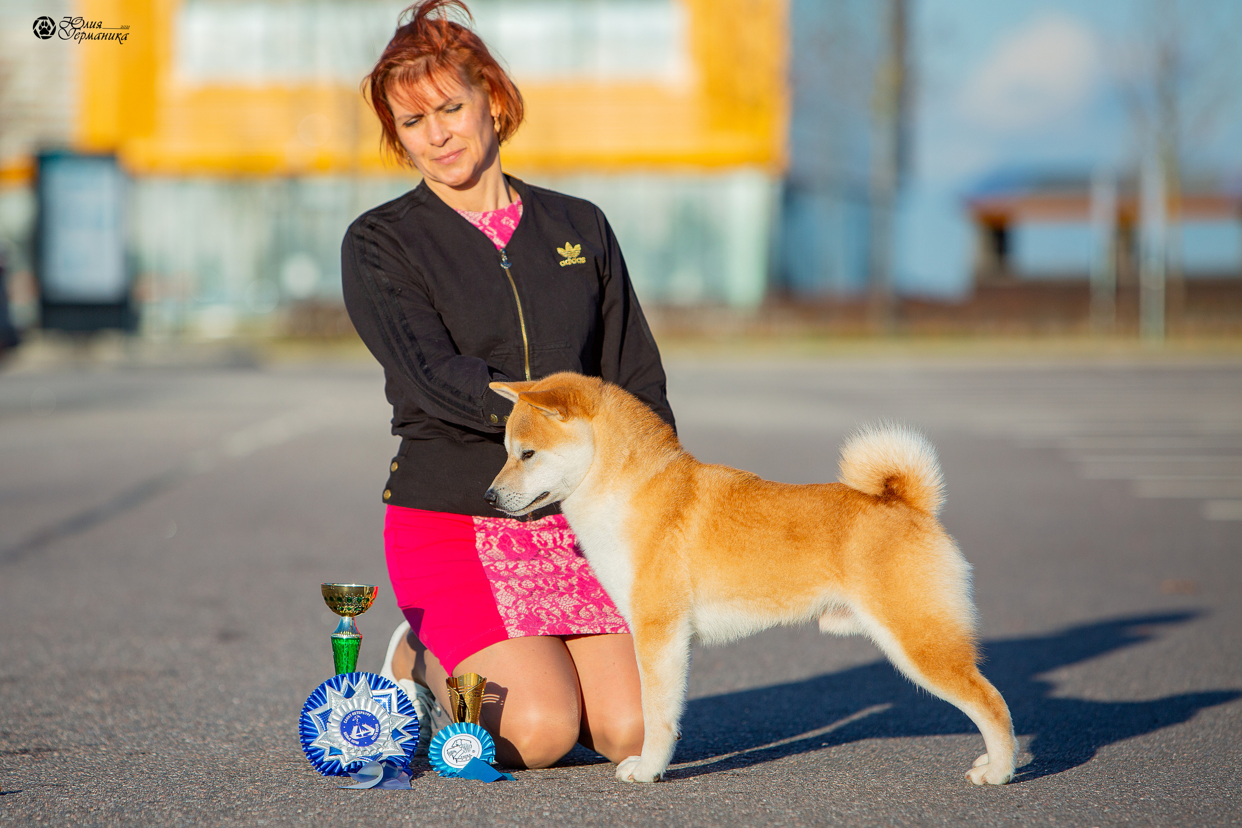 Питер 4 CACIB 22-25 октября 2021. Фотограф-анималист Юлия Германика