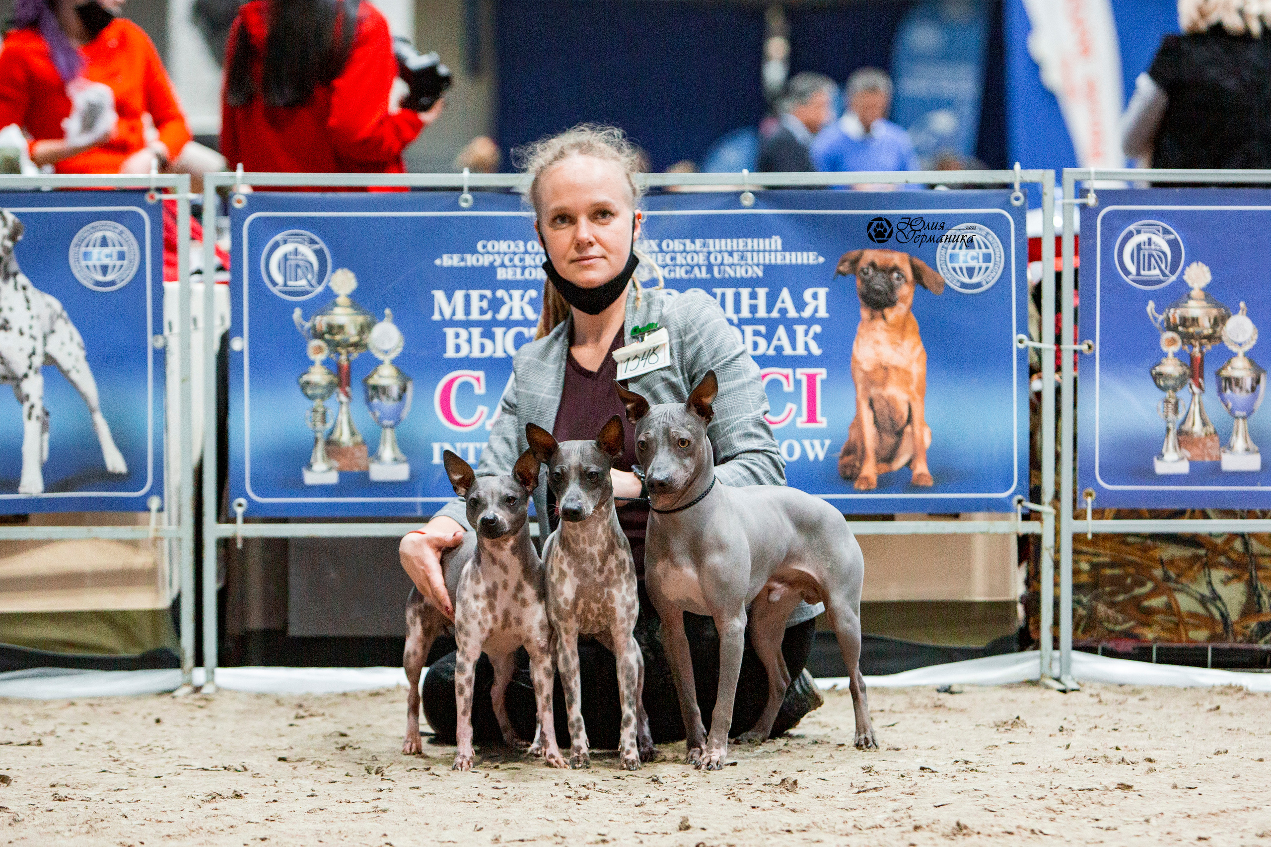 Минск 2хCACIB 27-28 ноября 2021. Фотограф-анималист Юлия Германика