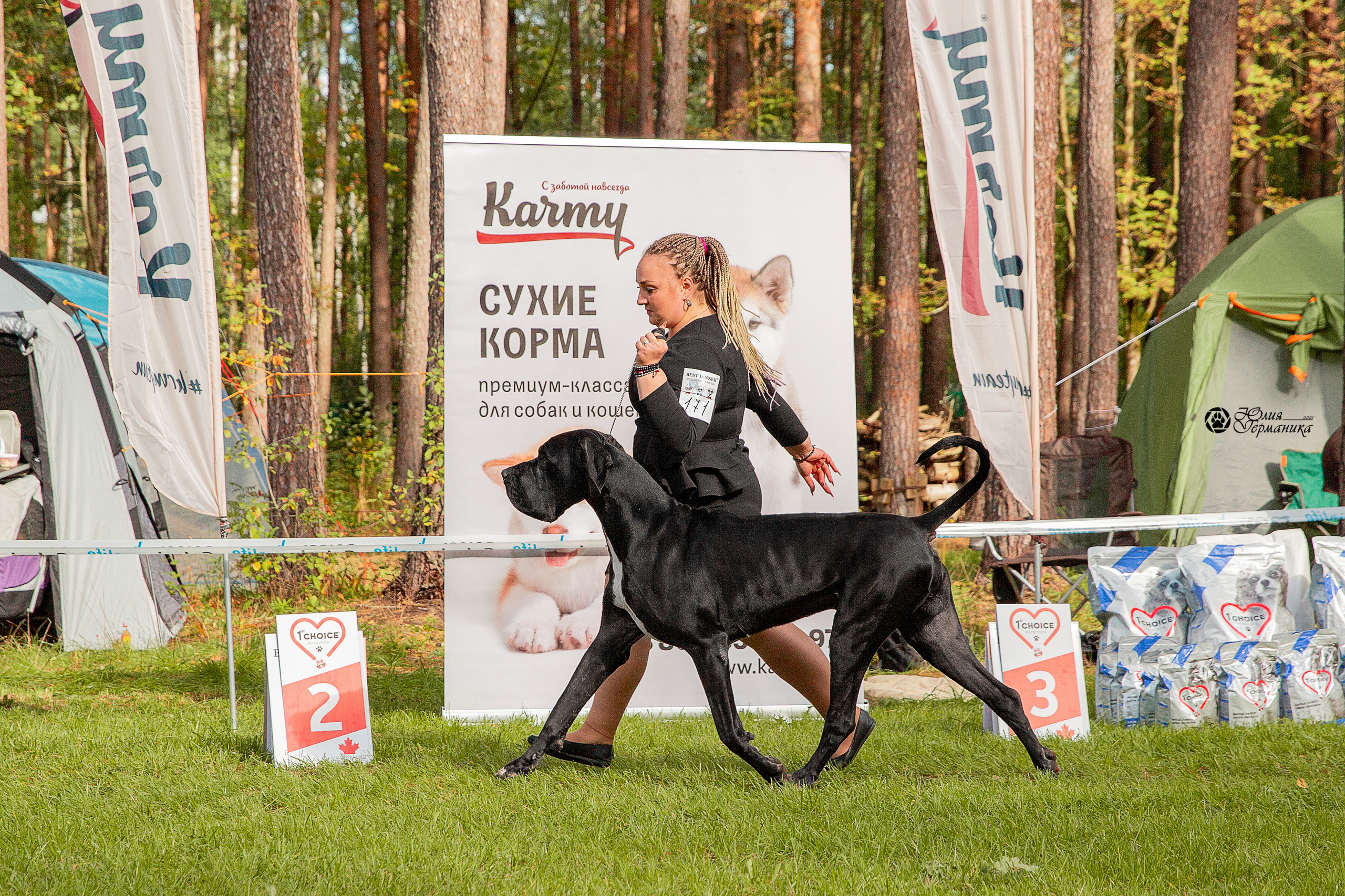 Псков 2xСАСIB 18-19 сентября 2021. Фотограф-анималист Юлия Германика