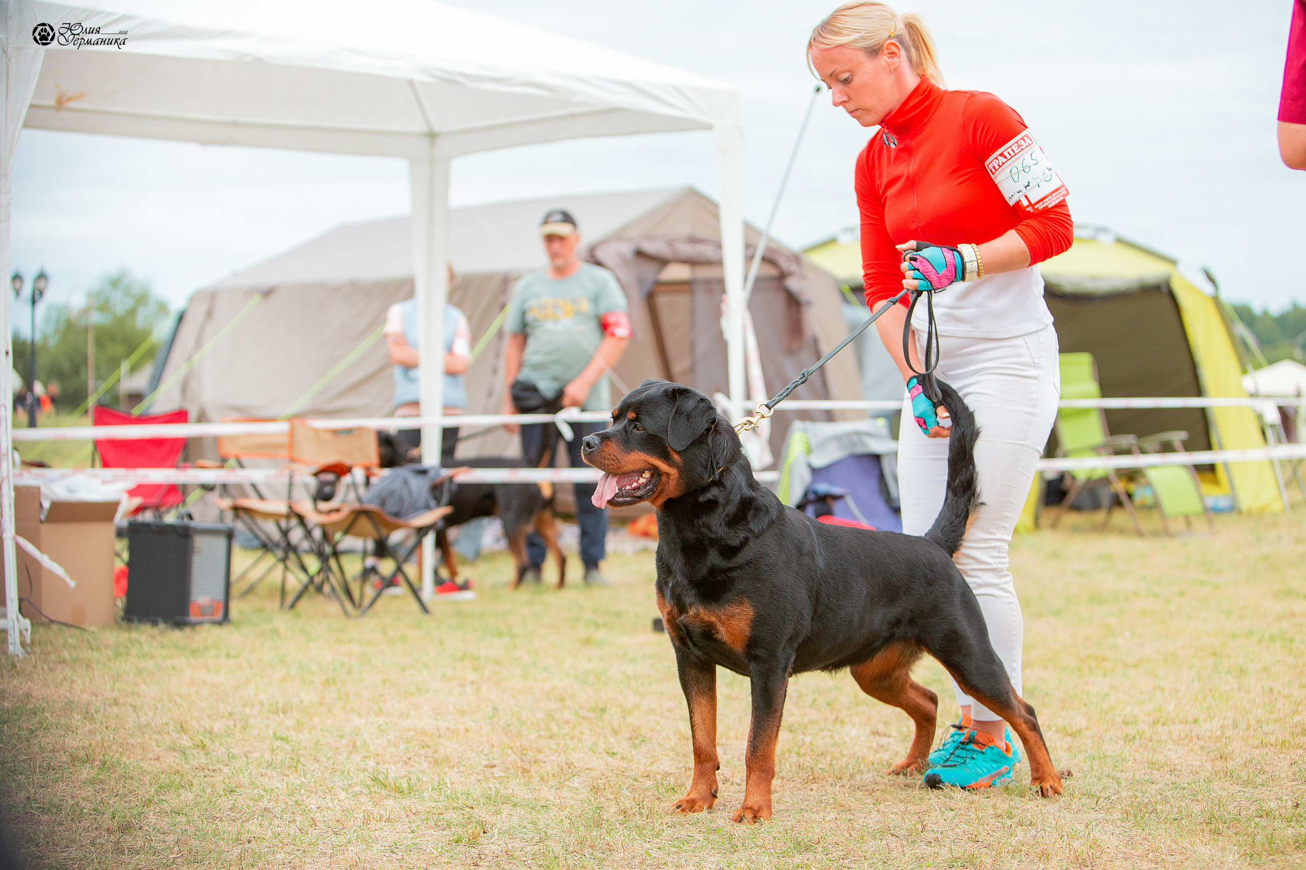 Тверь моно ротвейлеров 3-4 июля 2021. Фотограф-анималист Юлия Германика