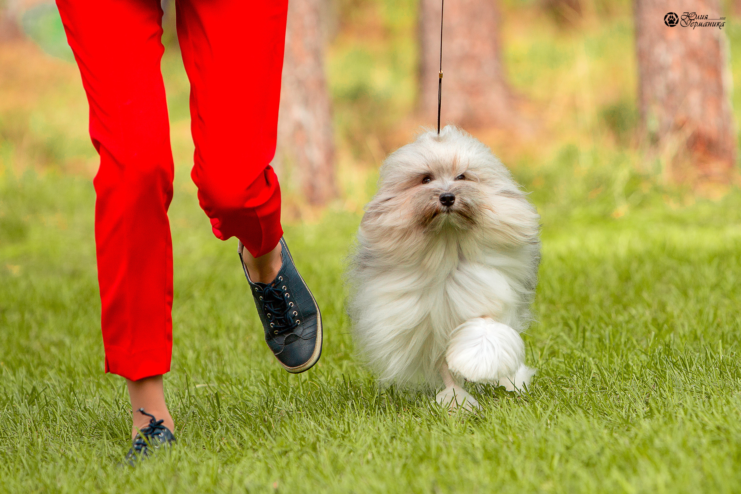 Псков 2xСАСIB 18-19 сентября 2021. Фотограф-анималист Юлия Германика