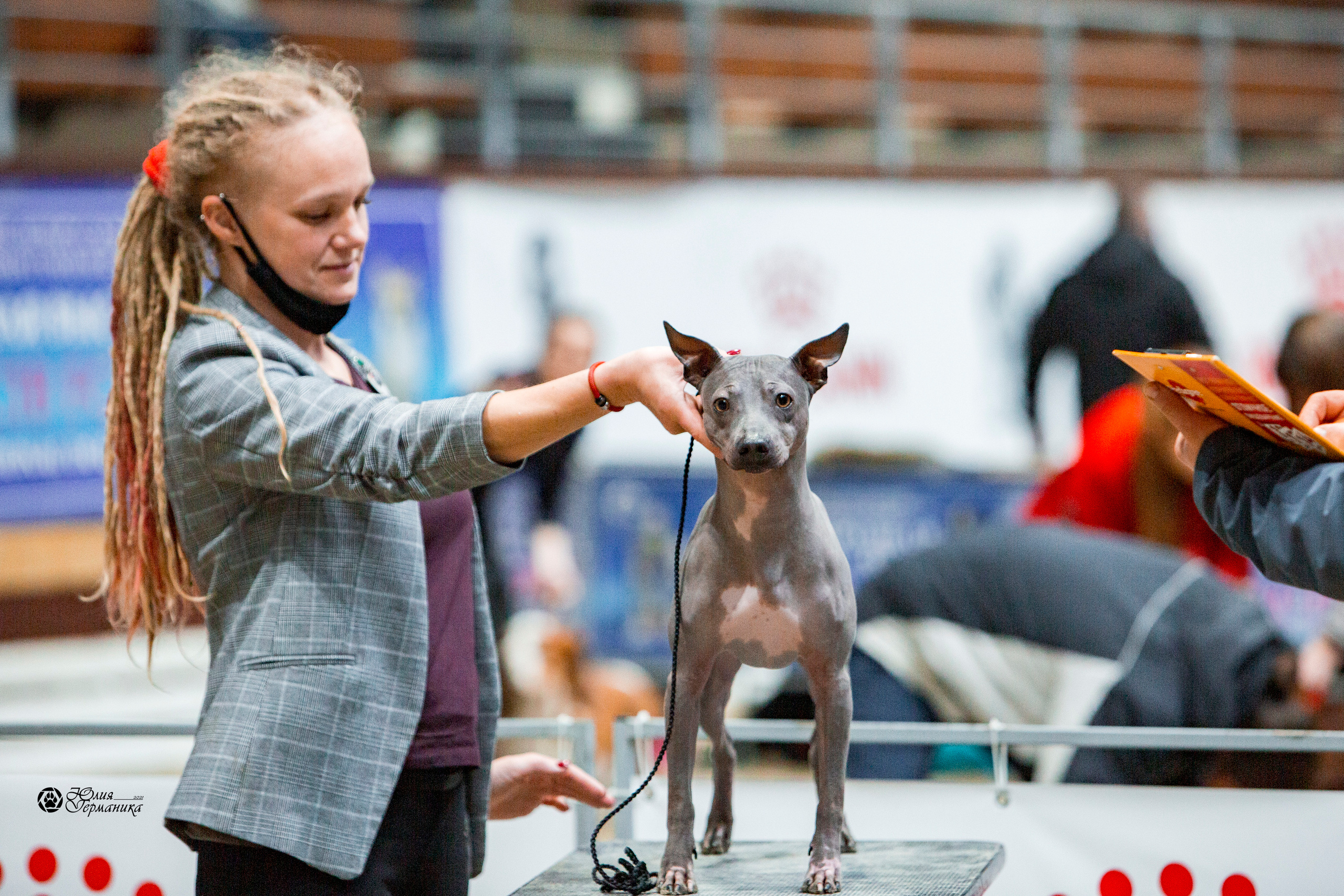 Минск 2хCACIB 27-28 ноября 2021. Фотограф-анималист Юлия Германика