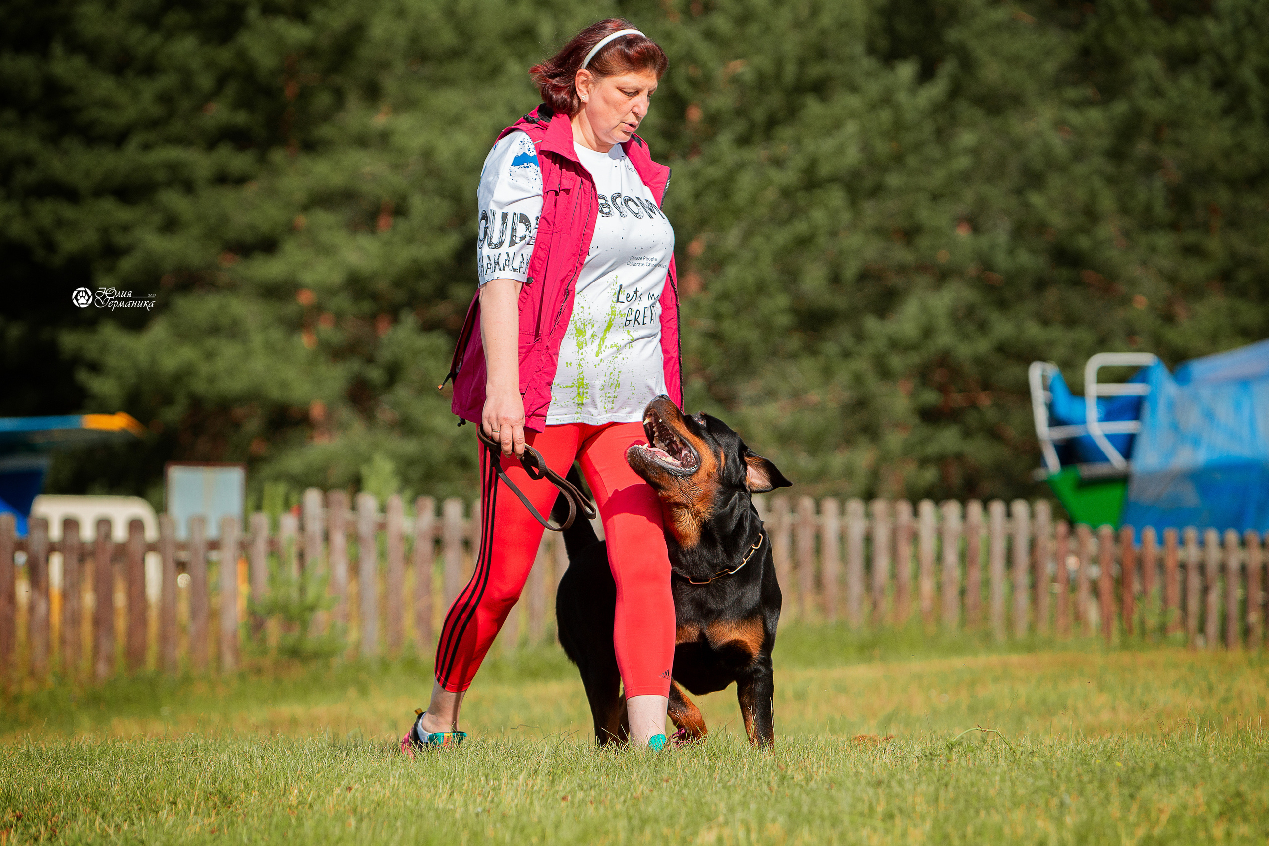 Тверь моно ротвейлеров 3-4 июля 2021. Фотограф-анималист Юлия Германика