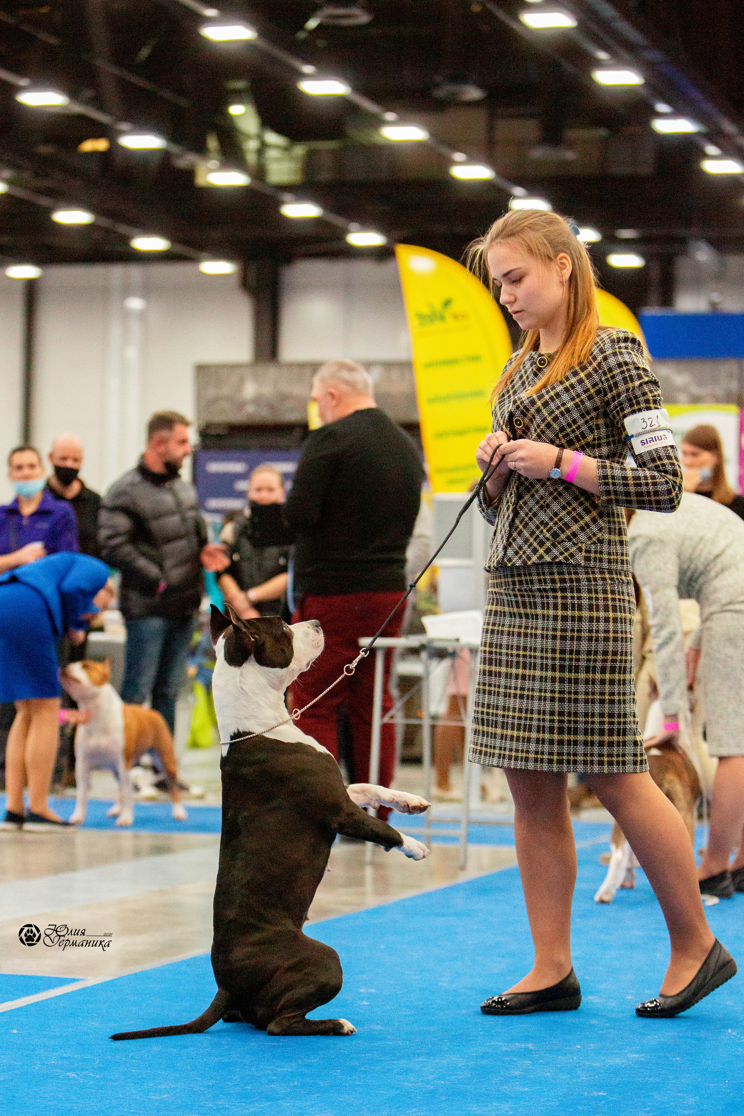 Питер 4 CACIB 22-25 октября 2021. Фотограф-анималист Юлия Германика