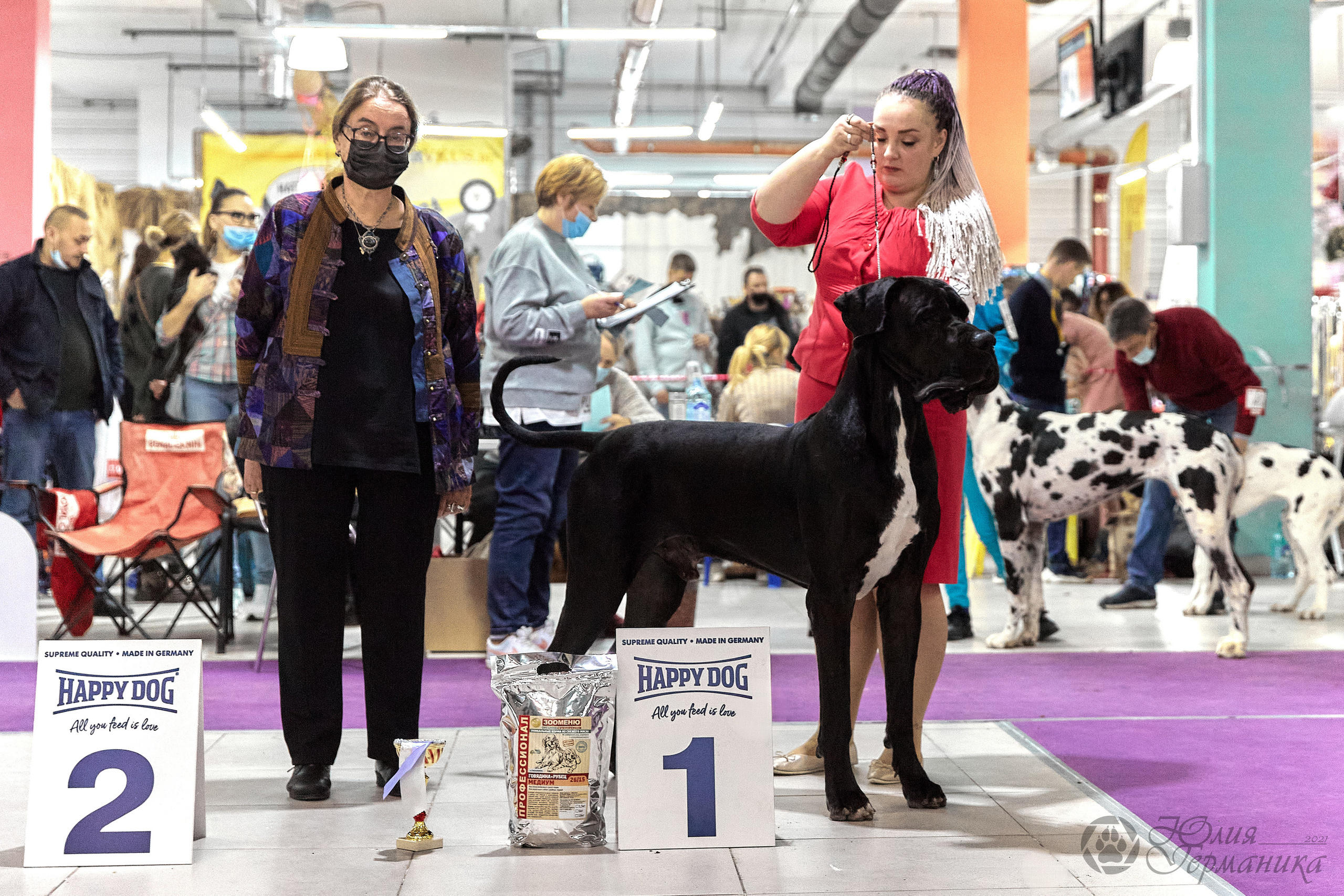 Чайник  13-14 ноября 2021. Фотограф-анималист Юлия Германика