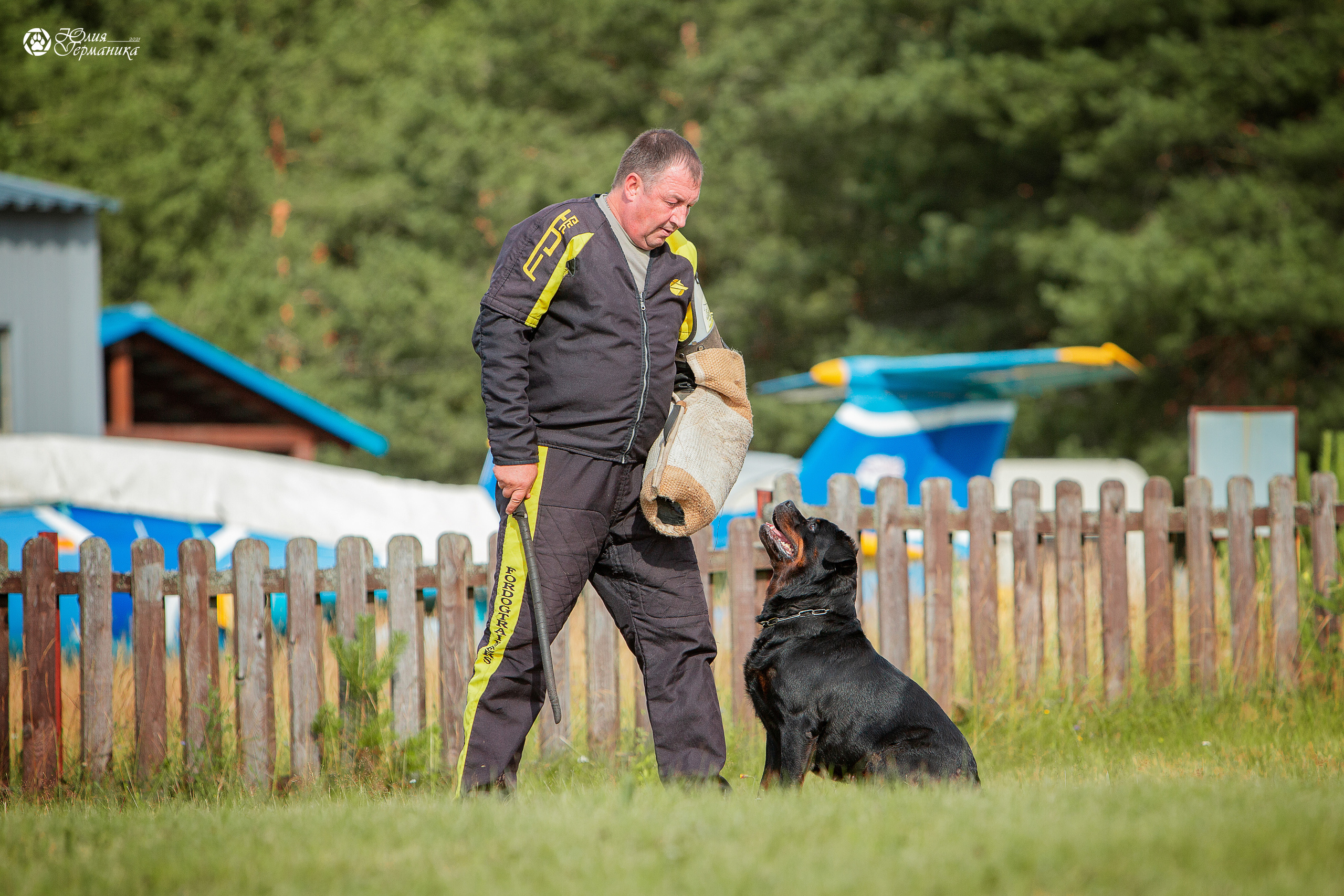 Тверь моно ротвейлеров 3-4 июля 2021. Фотограф-анималист Юлия Германика