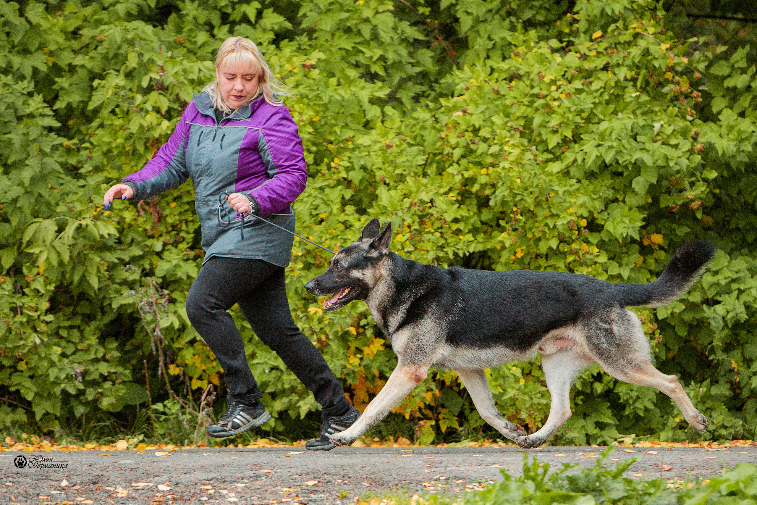 Свободная съемка. Фотограф-анималист Юлия Германика